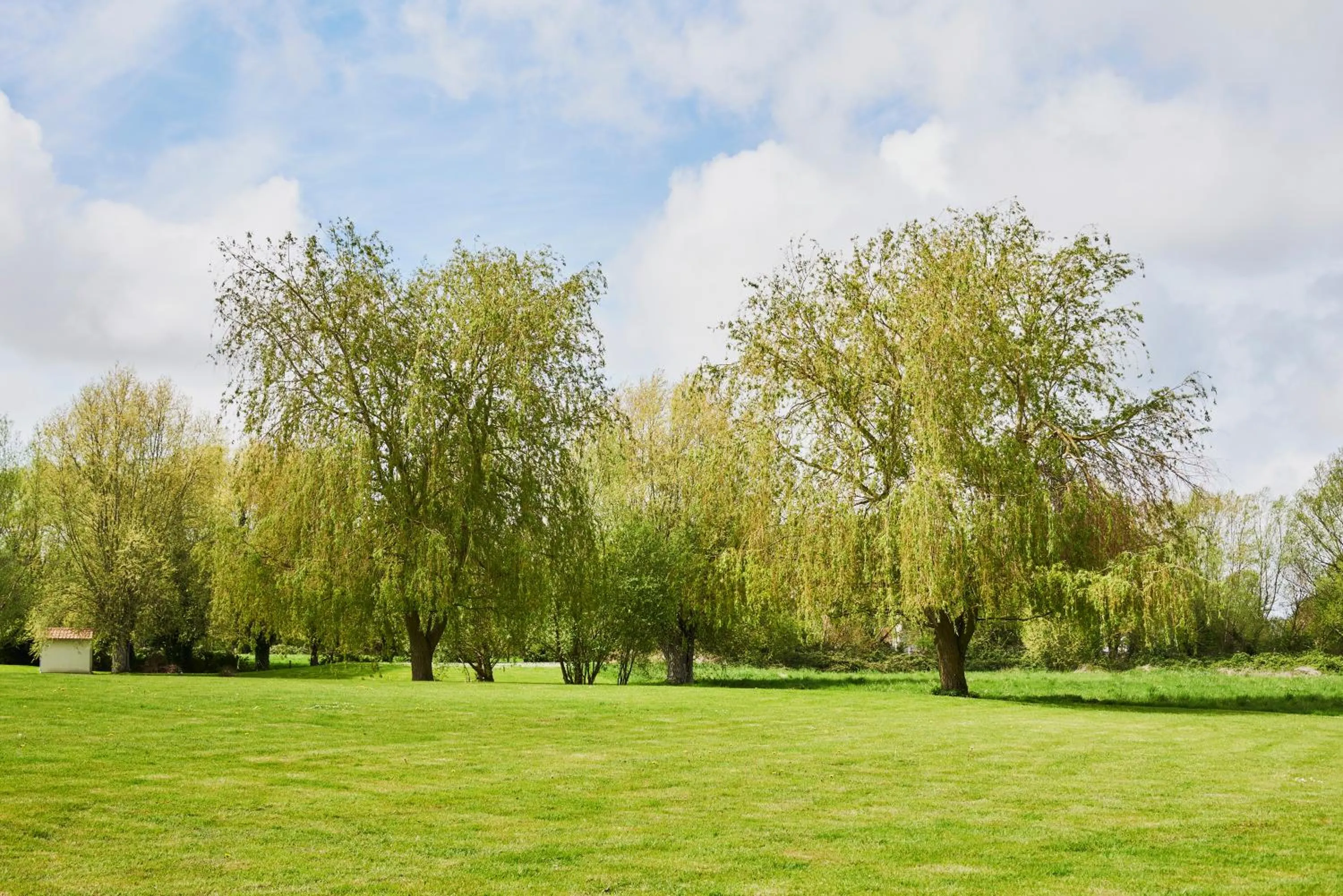 Hotel Spa Les Saules