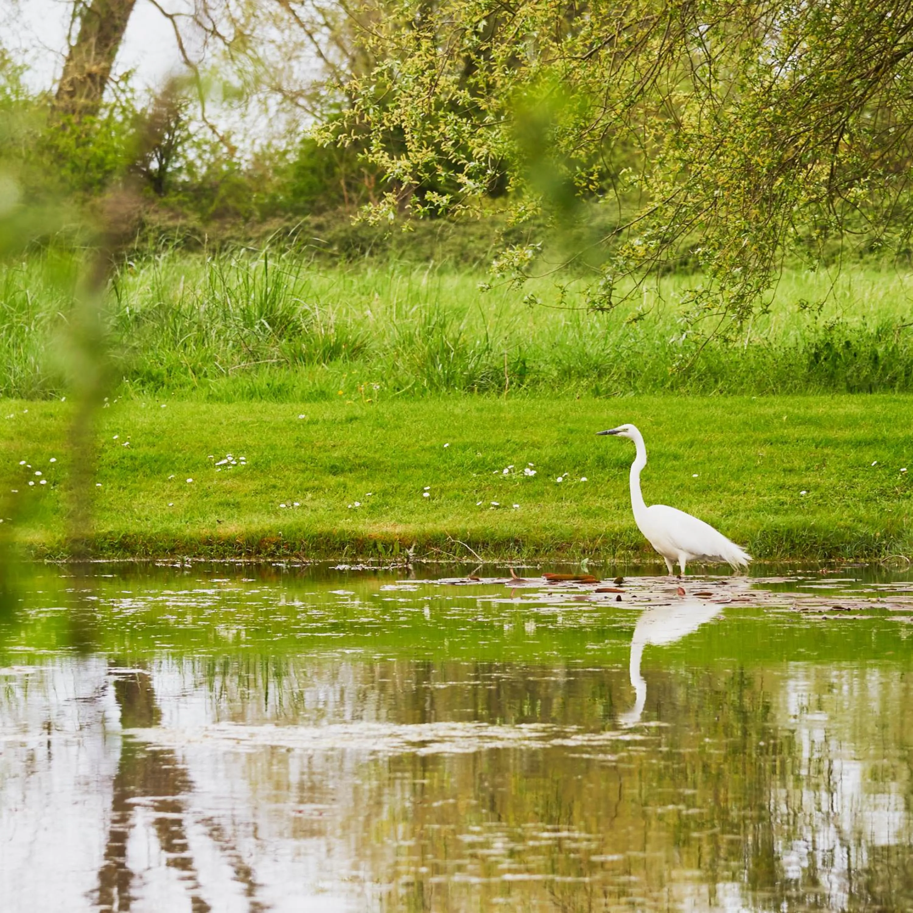 Hotel Spa Les Saules