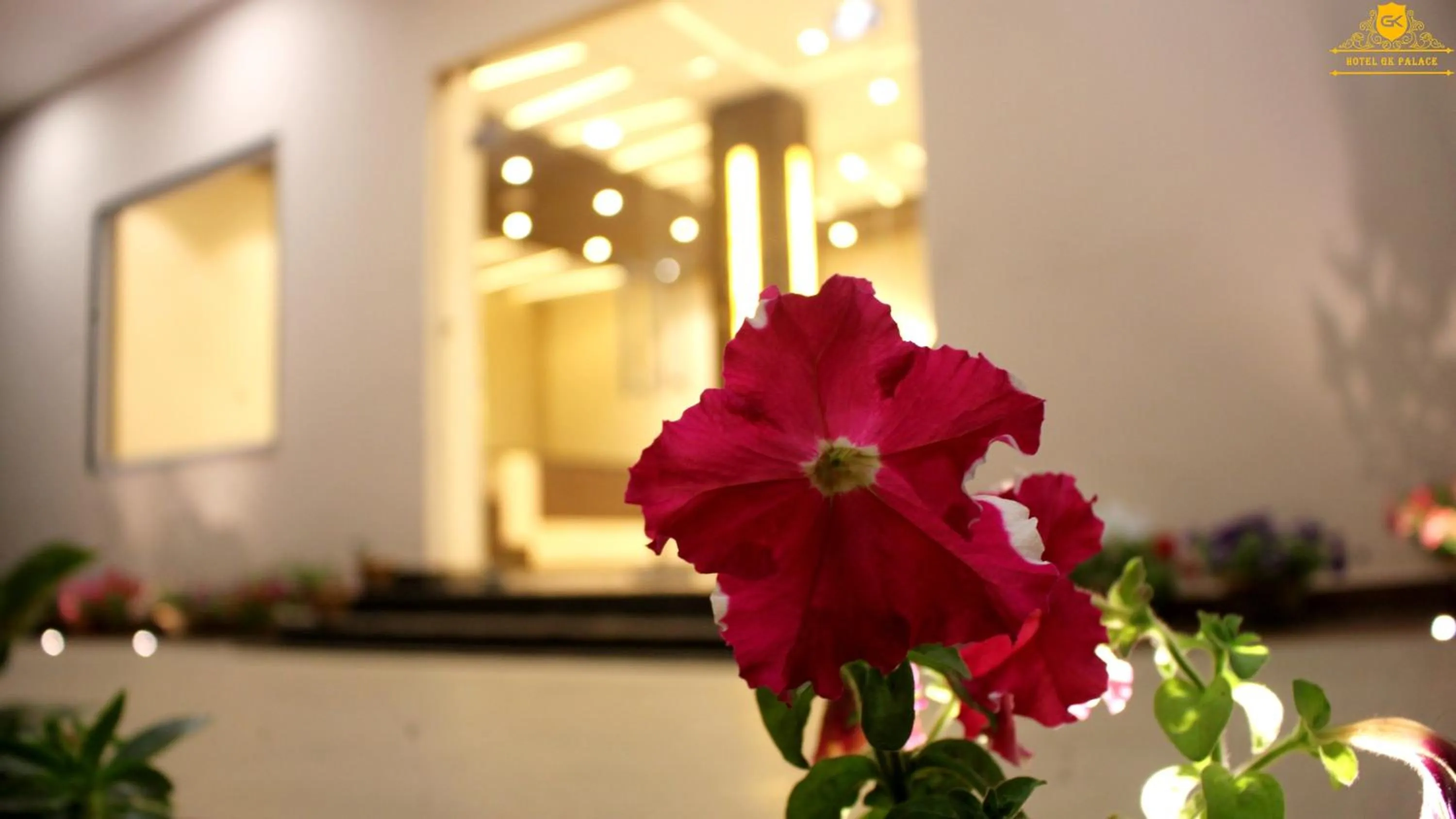 GK PALACE Pure VEG Hotel