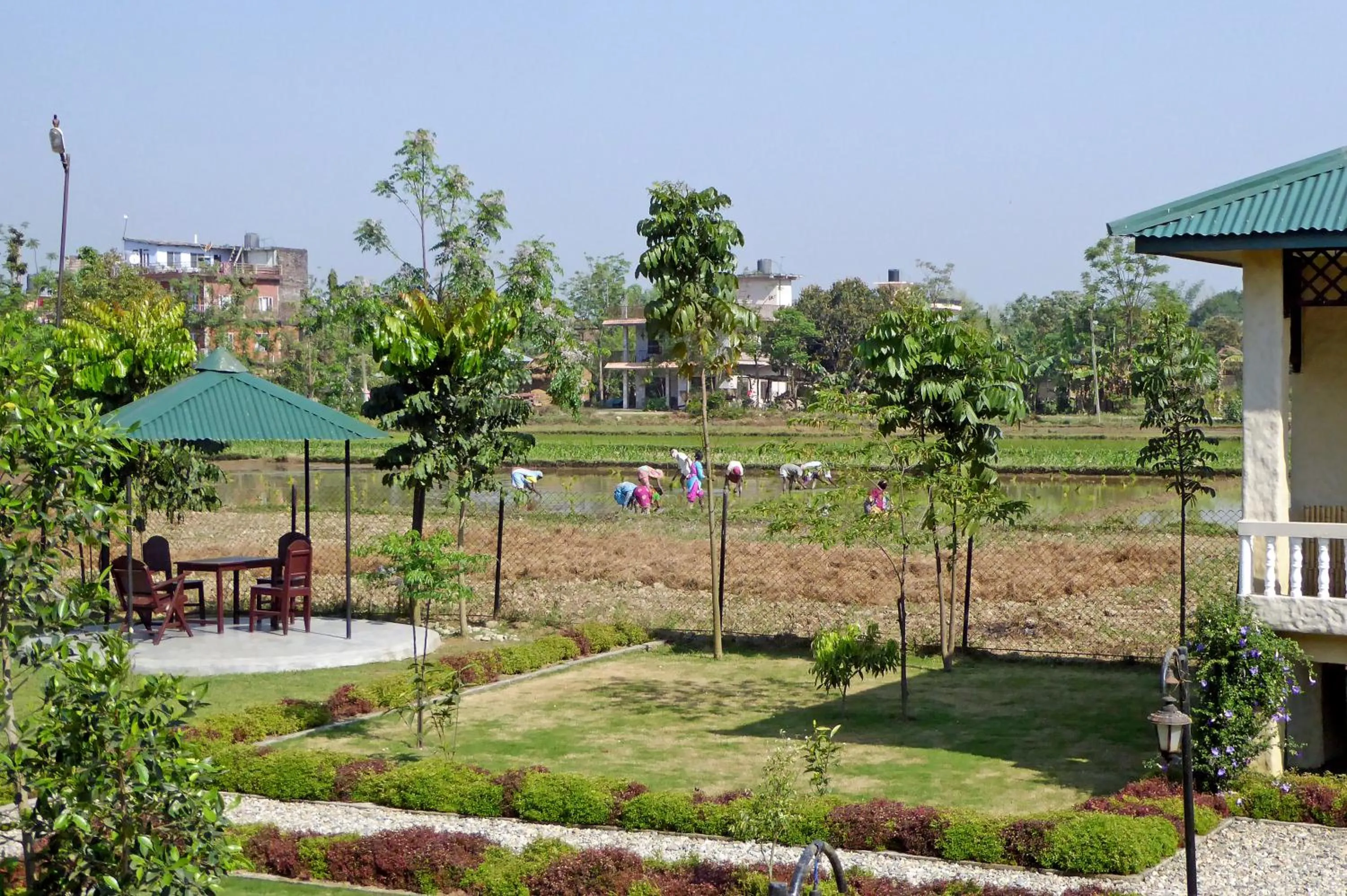 Neighbourhood in Tharu Mahal