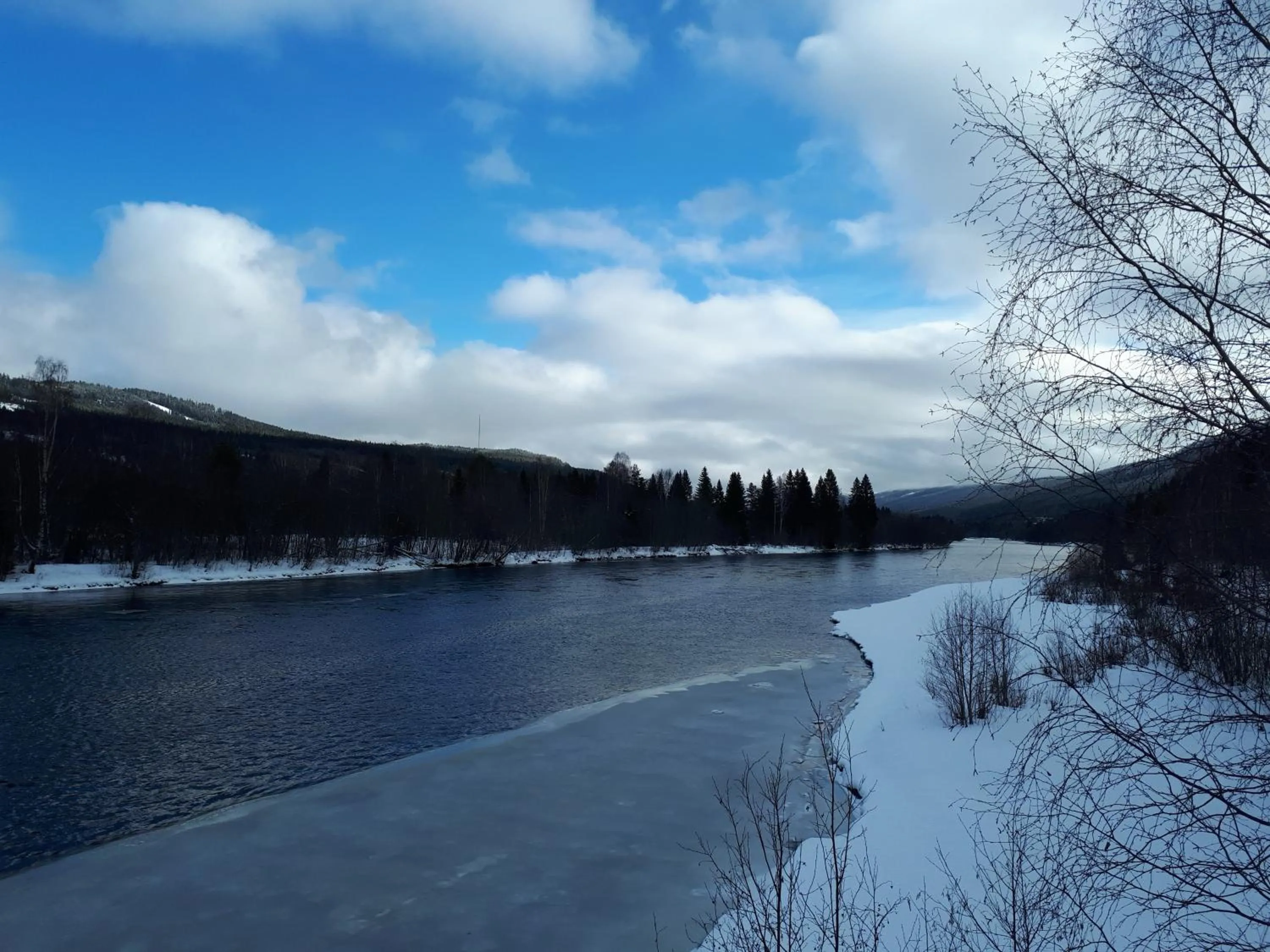 Natural landscape in Wärdshuset Klarälvdalen