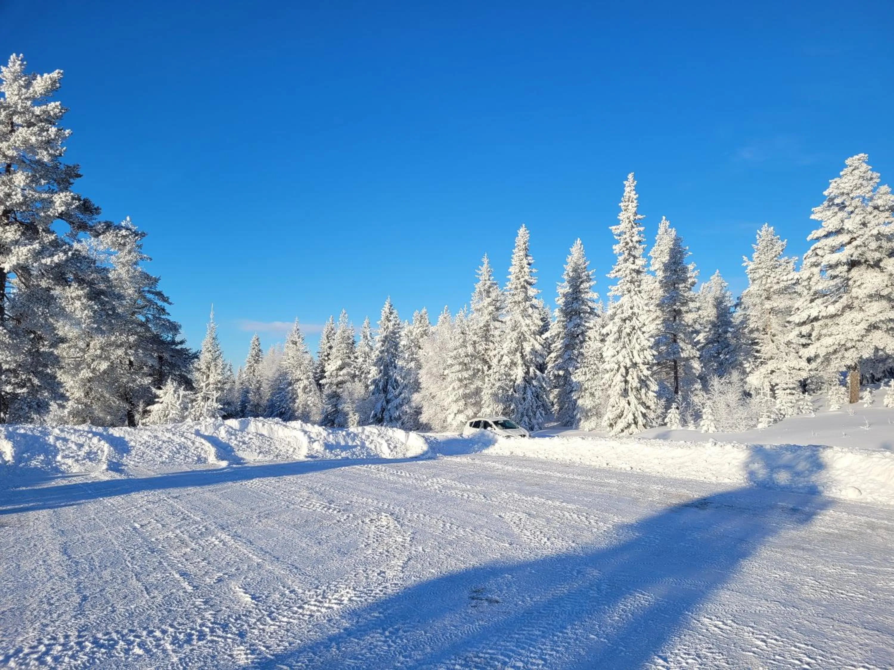 Natural landscape in Wärdshuset Klarälvdalen
