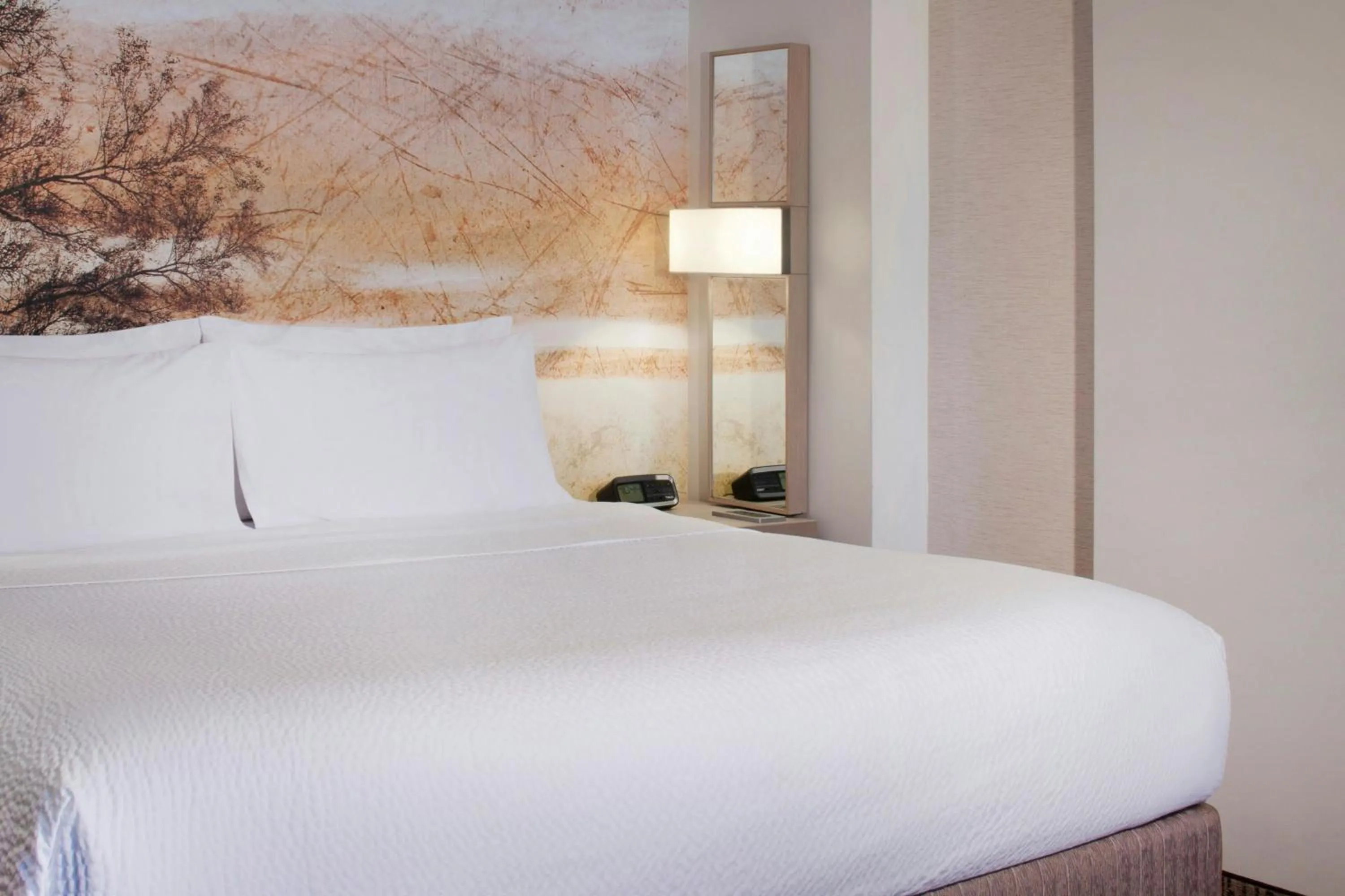 Photo of the whole room, Bed in Courtyard By Marriott El Paso Downtown/Convention Center