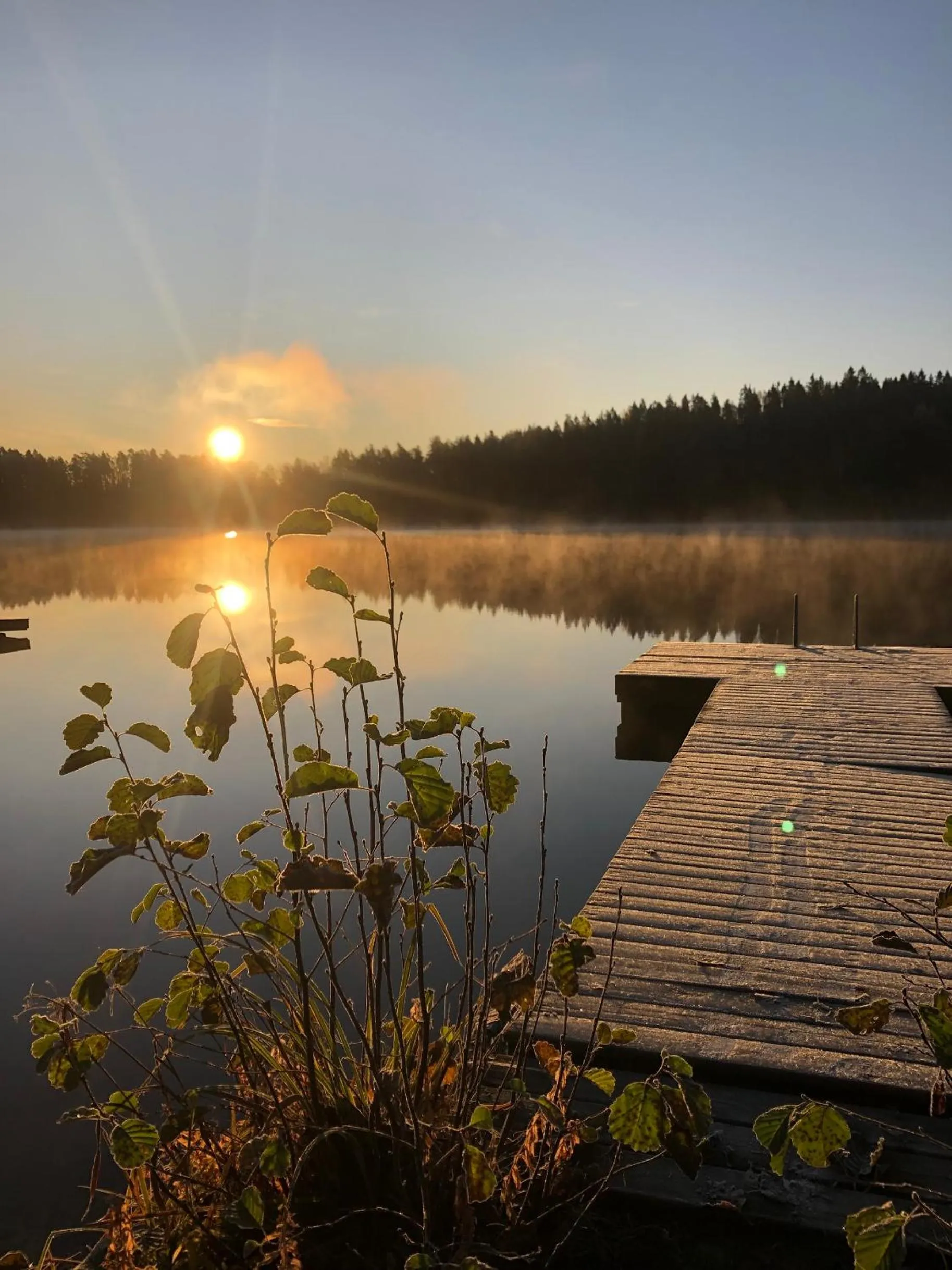 Neighbourhood in Hotel Nuuksio - Conferences and events