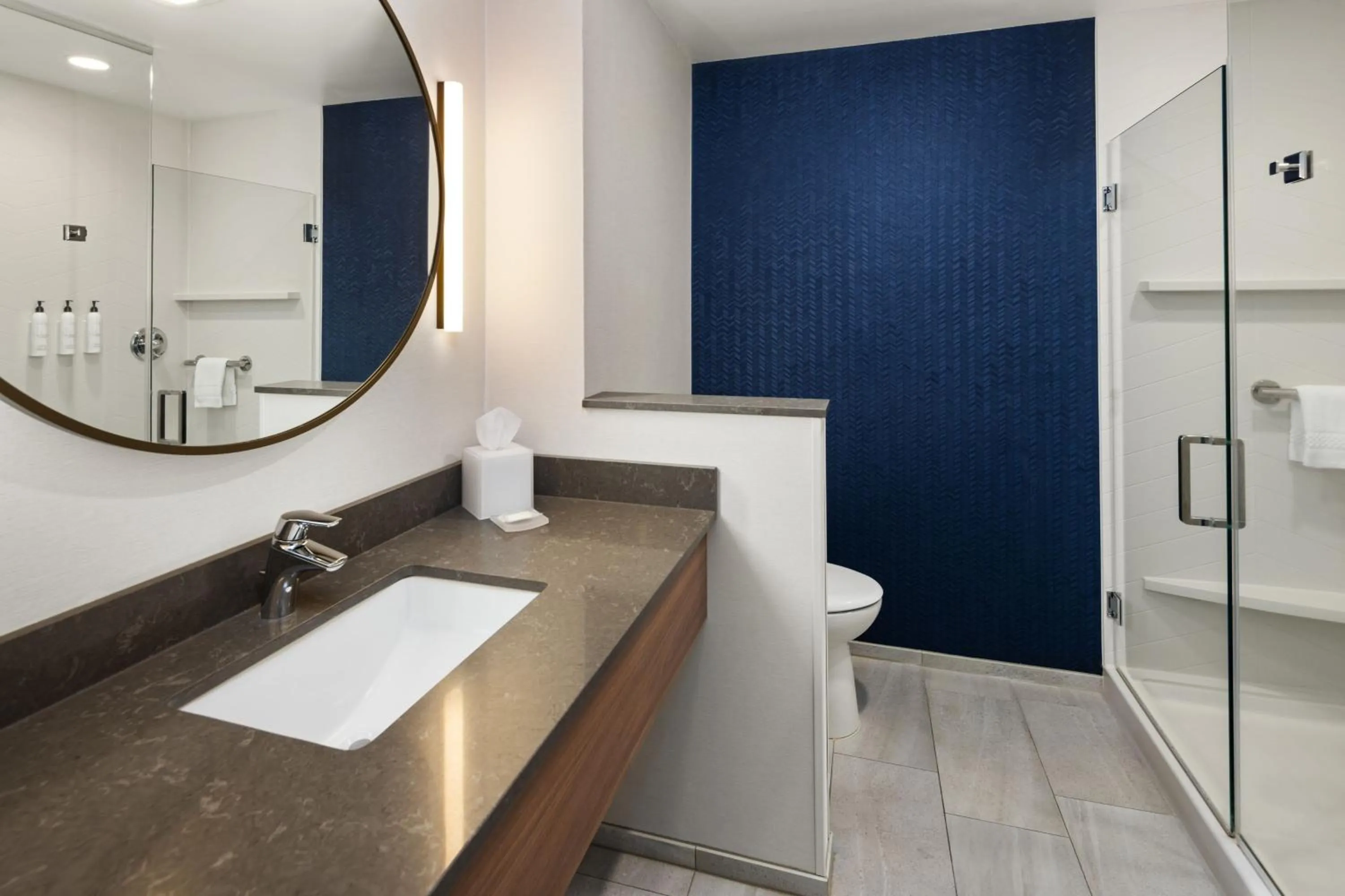 Bathroom in Fairfield Inn & Suites By Marriott Alexandria