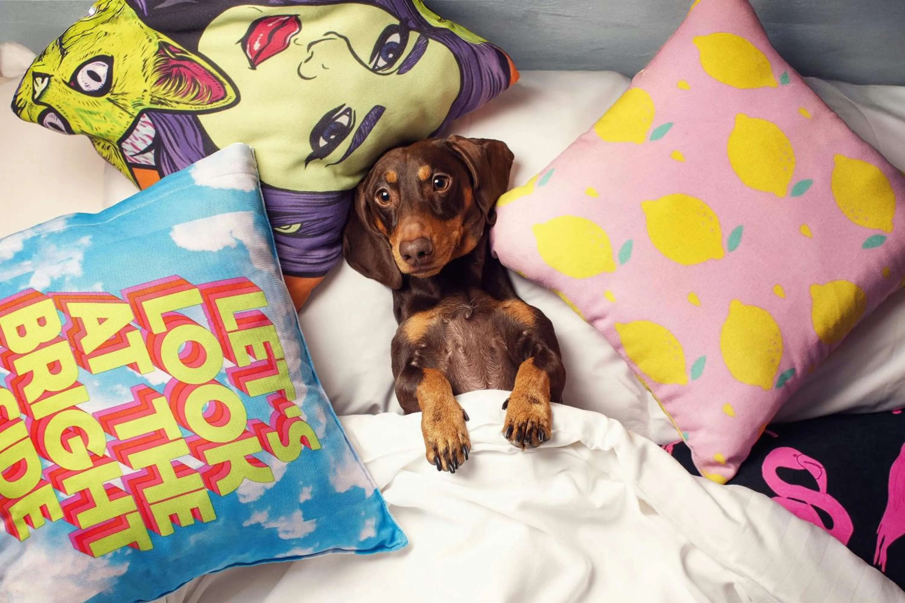 Other in Moxy Tbilisi