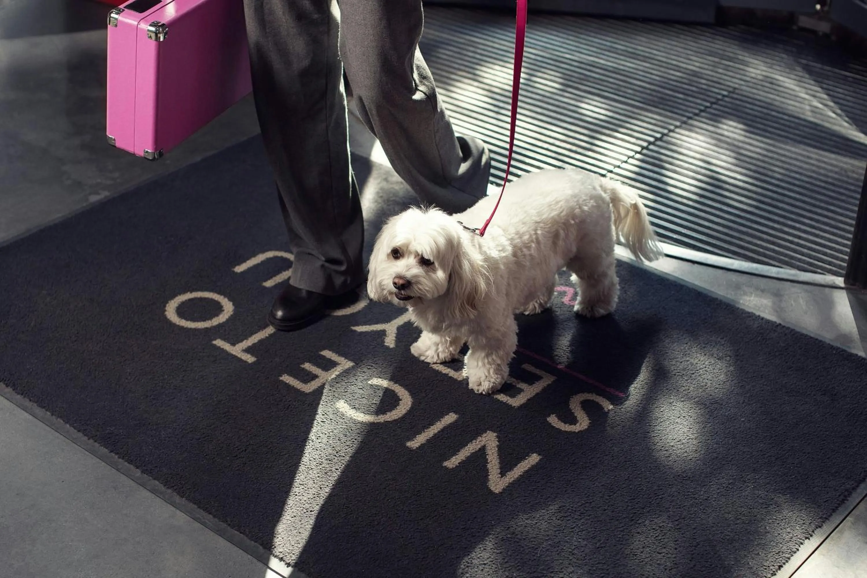 Other in Moxy Tbilisi