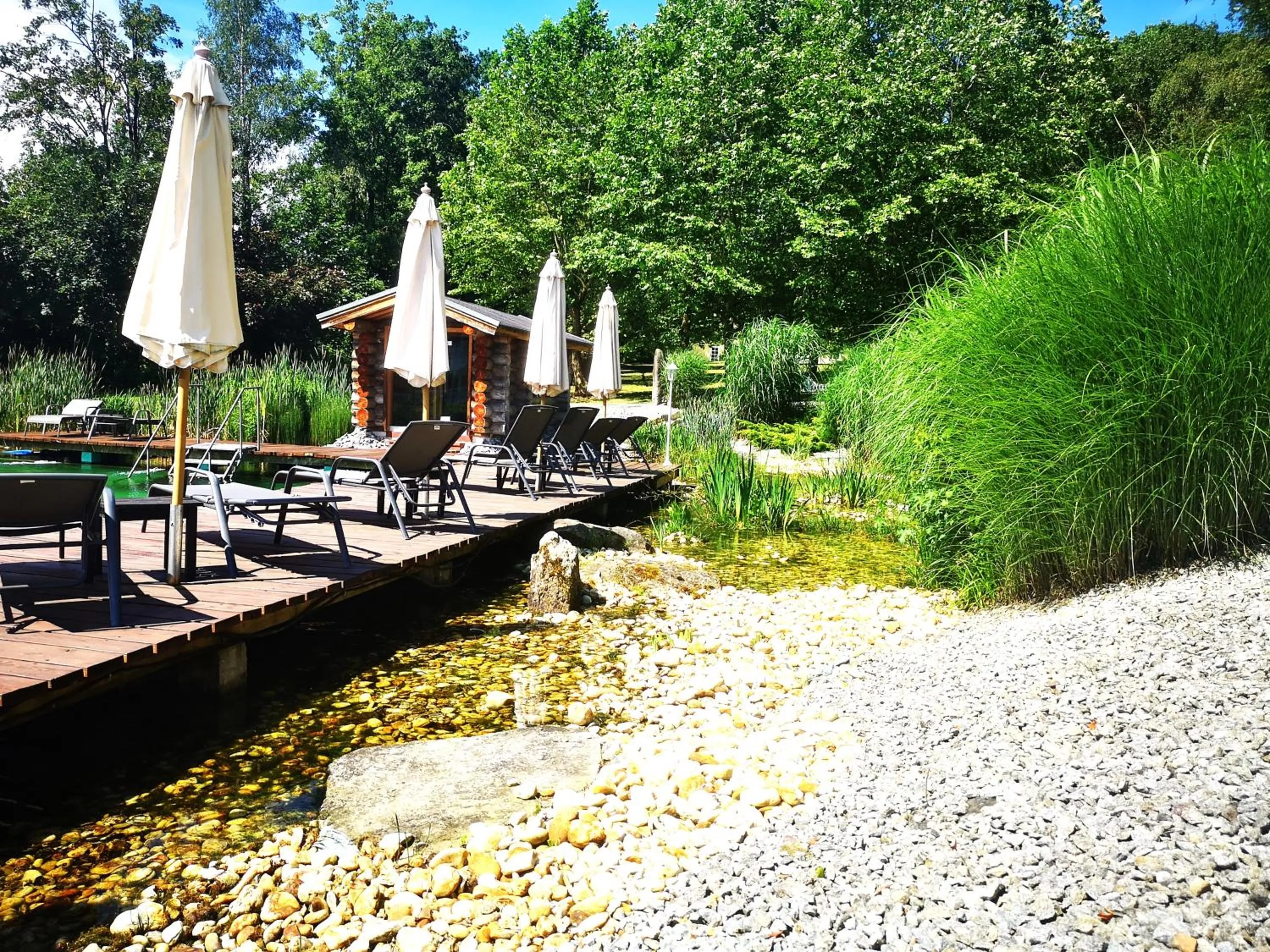 Swimming pool in Wellnesshotel Parkschlössl zu Thyrnau Ihr adults only SPA Resort