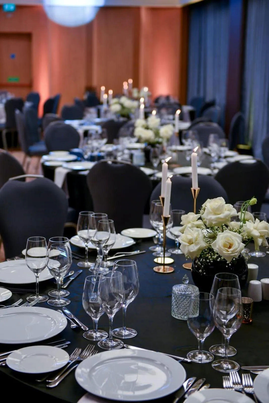 Banquet/Function facilities in Hilton Garden Inn Tirana