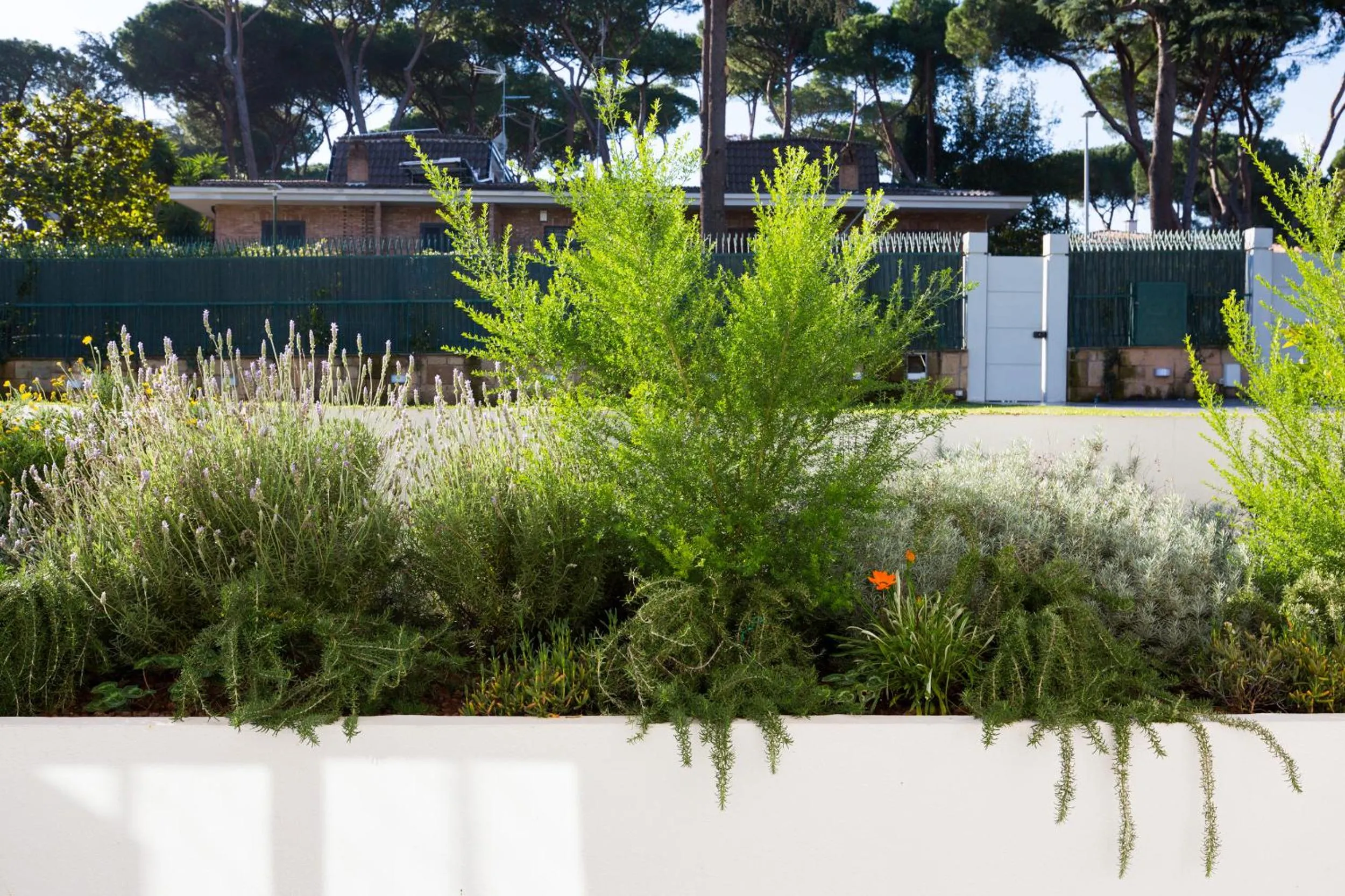 Garden view in Niclas Luxury Apartments EUR