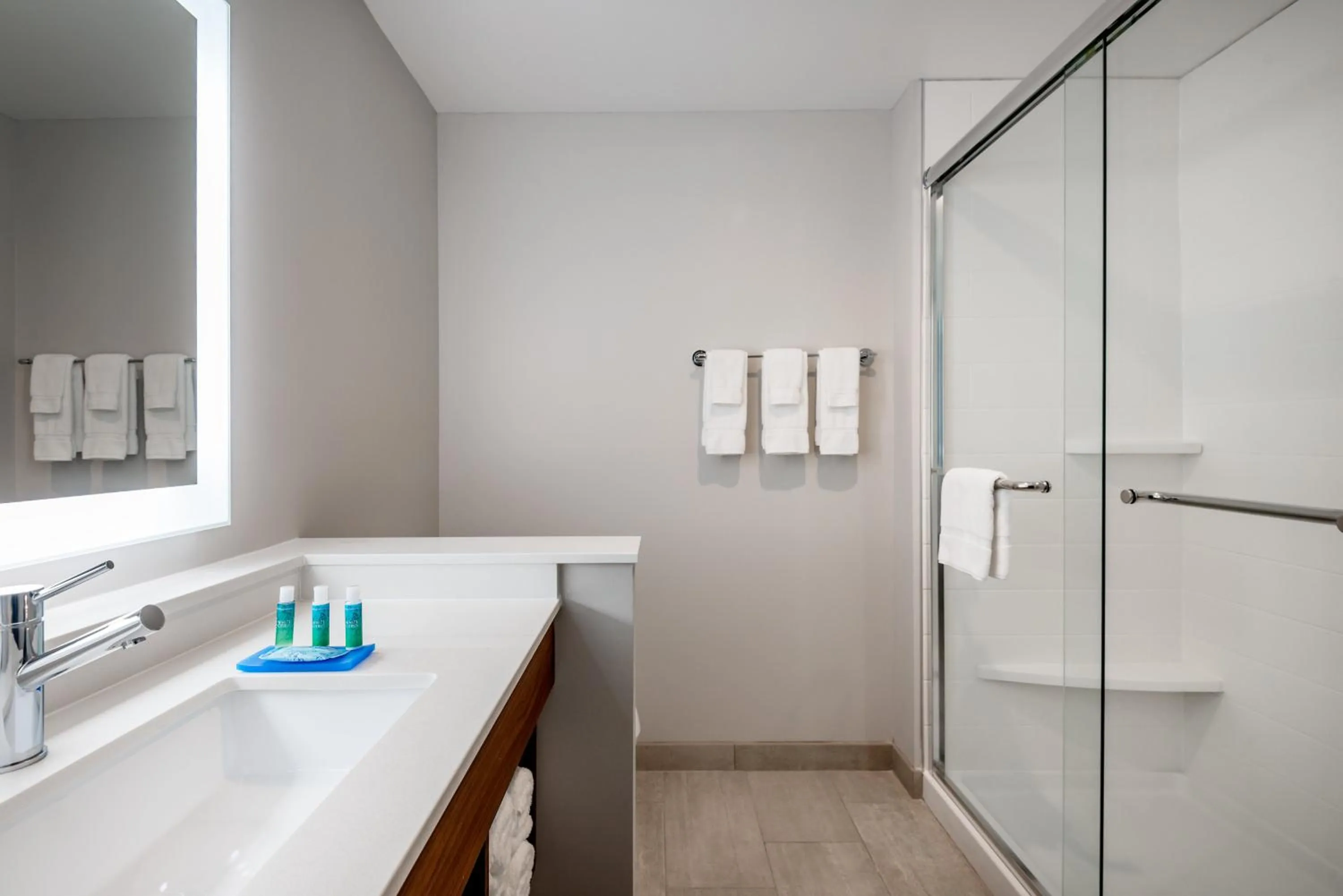 Bathroom in Holiday Inn Express & Suites - Punta Gorda by IHG