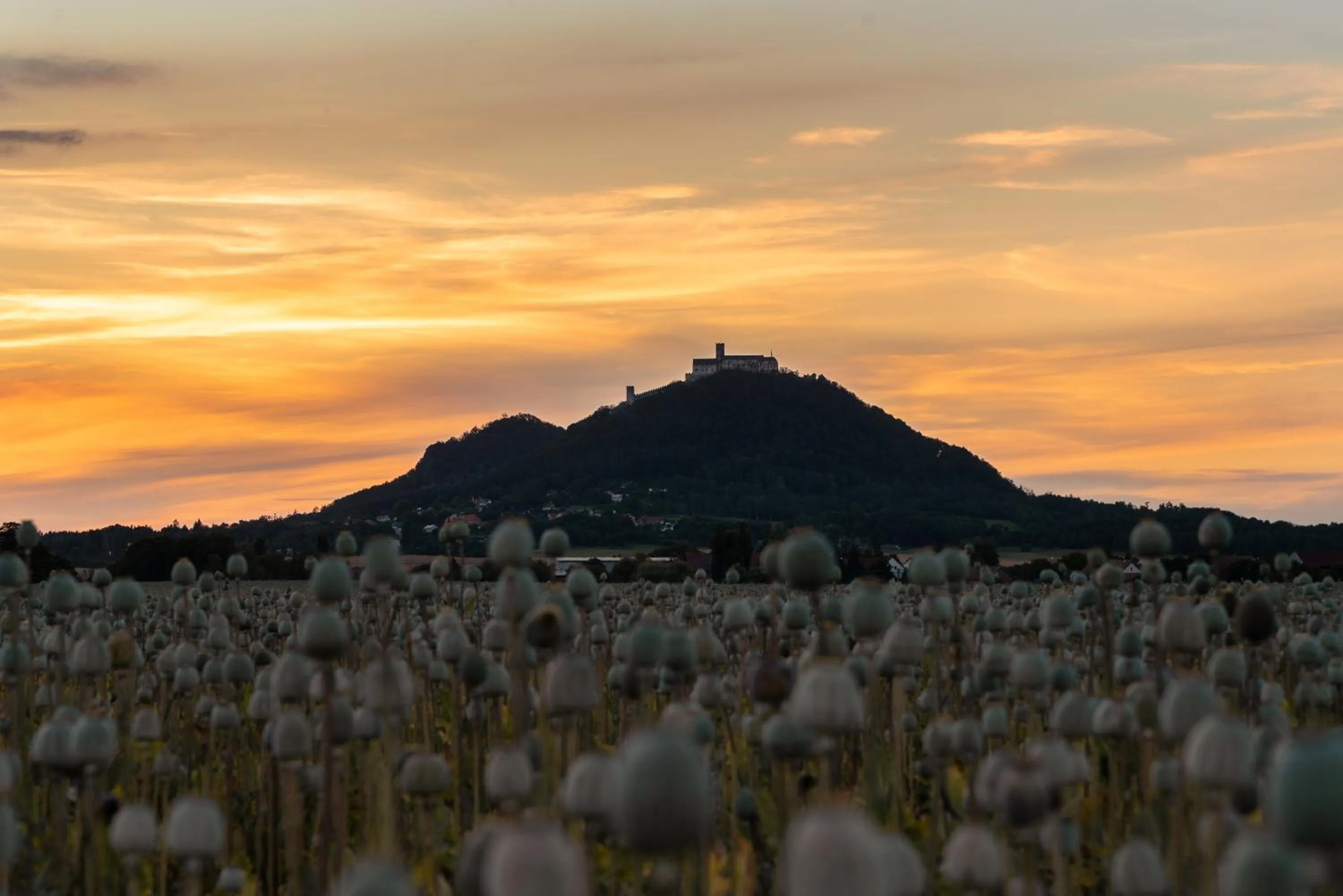 Nearby landmark in Lakepark Residence