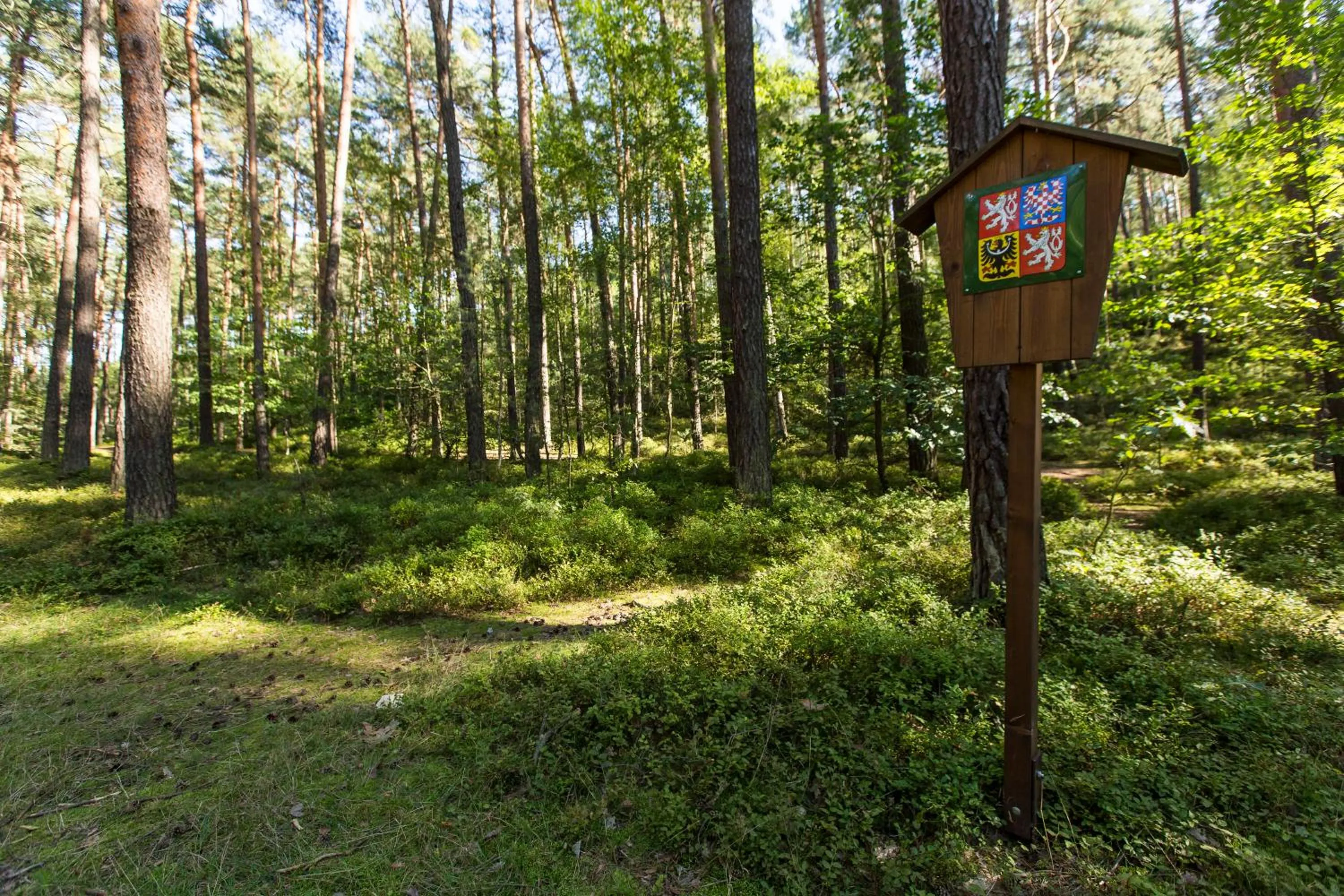 Hiking in Lakepark Residence