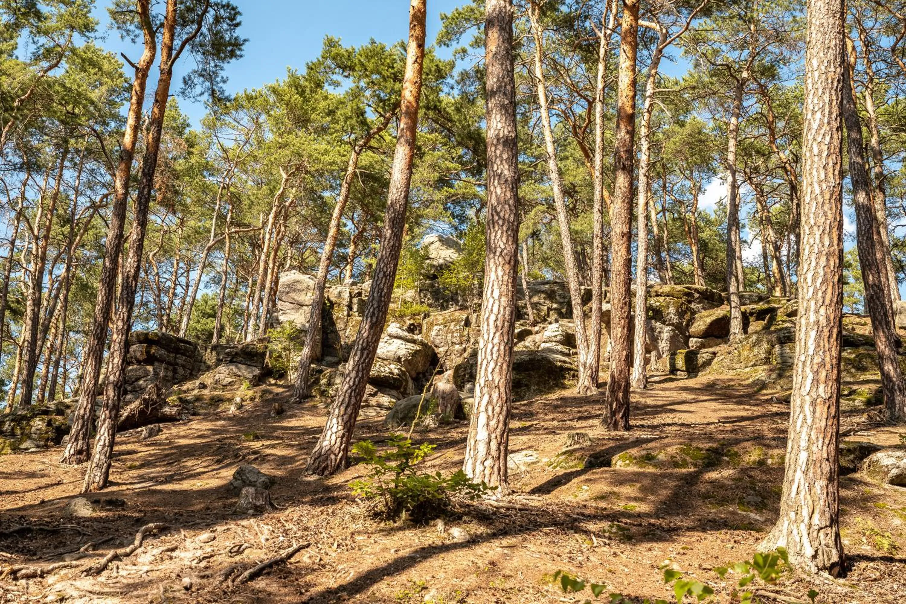 Hiking in Lakepark Residence