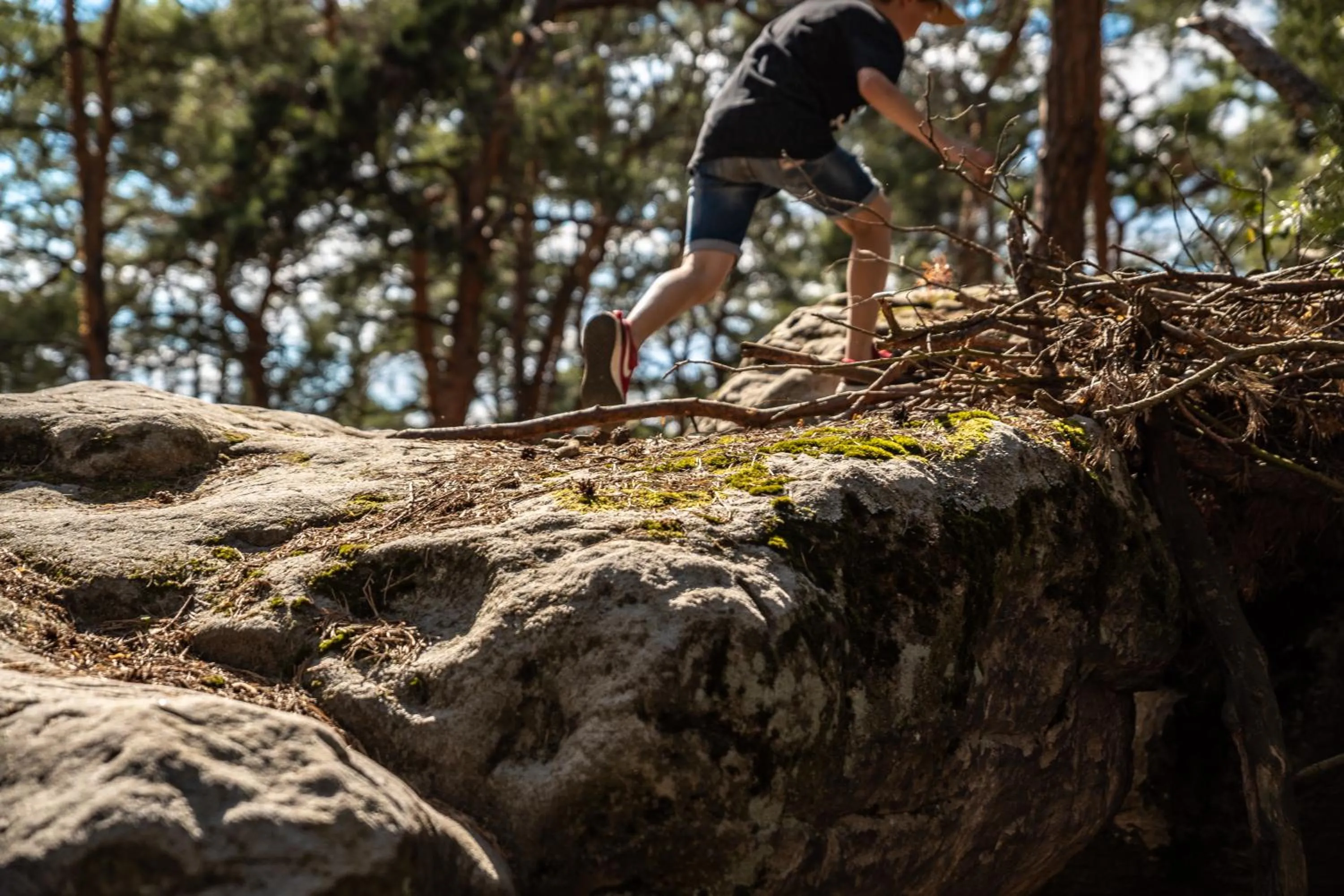 Hiking in Lakepark Residence