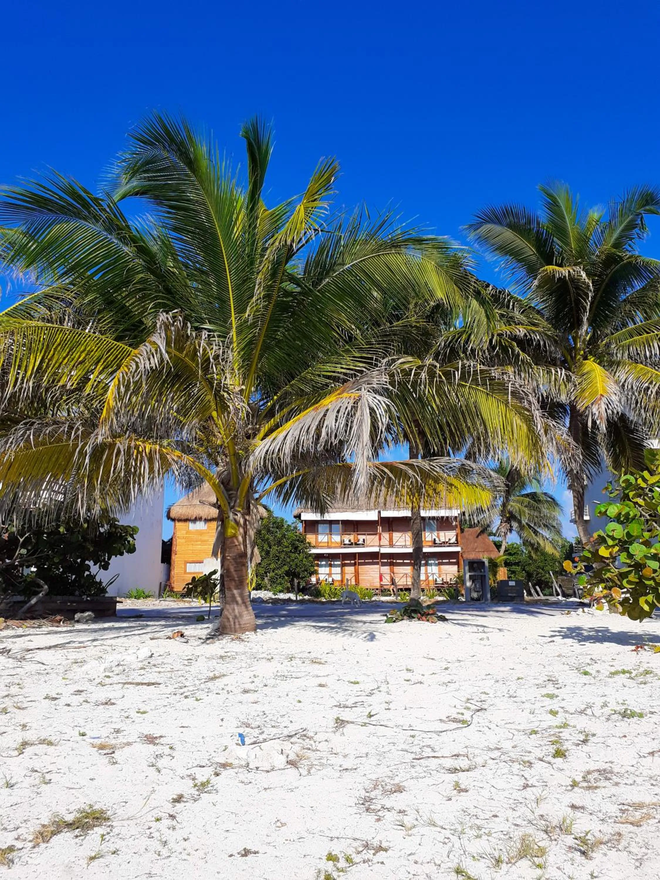 Property building in Palmeras de Mahahual Cabañas