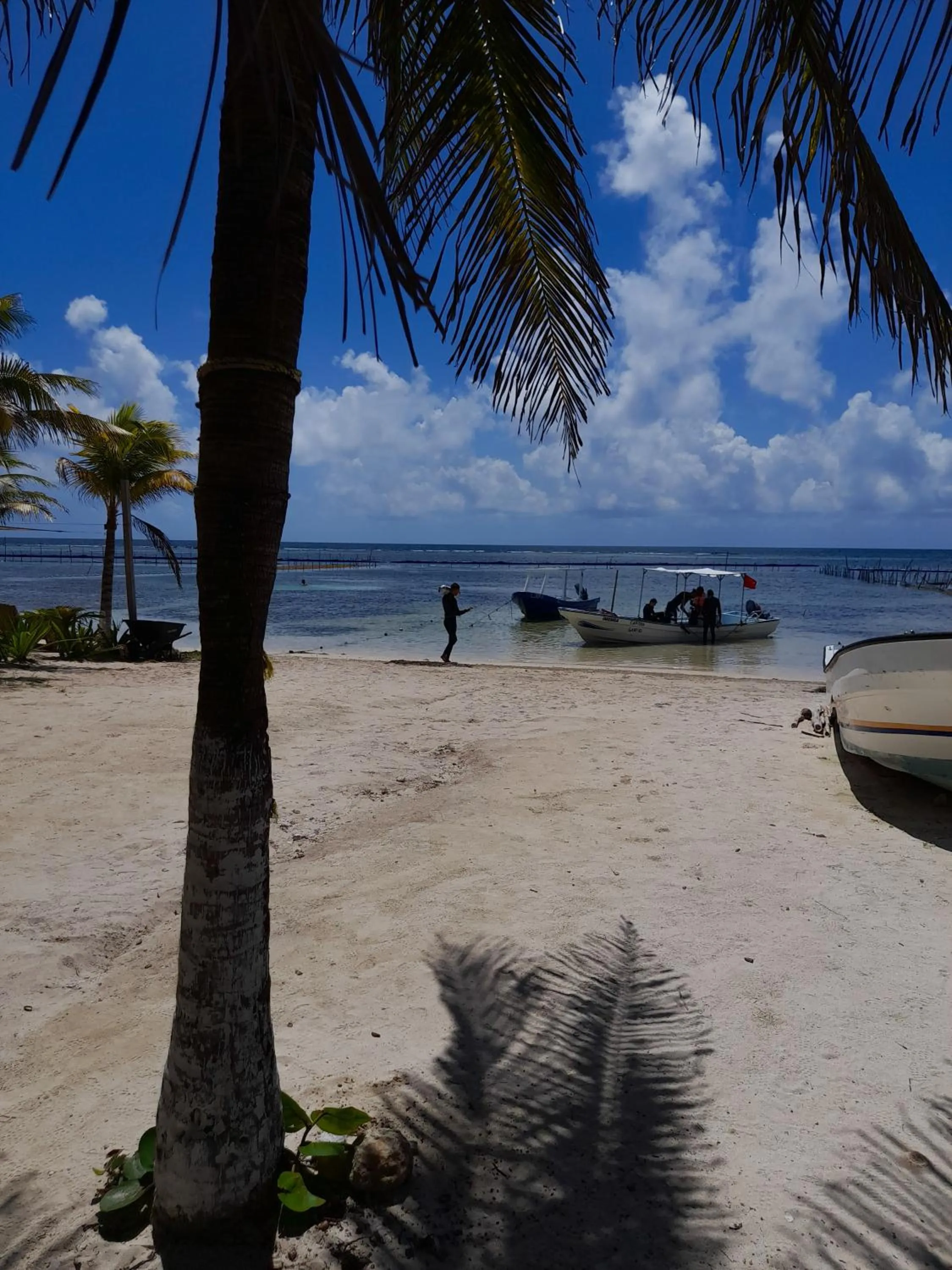 Day in Palmeras de Mahahual Cabañas