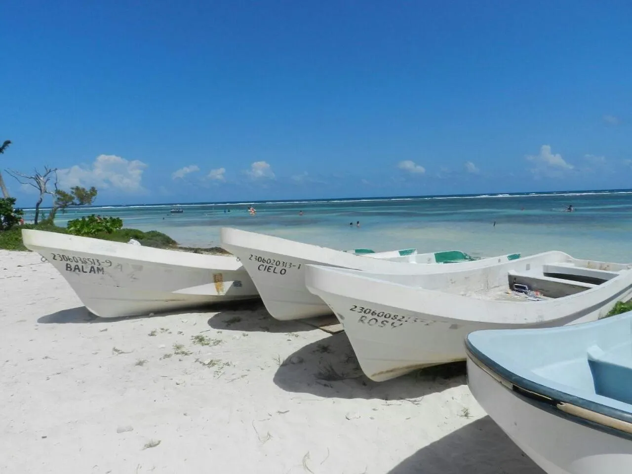 Natural landscape in Palmeras de Mahahual Cabañas