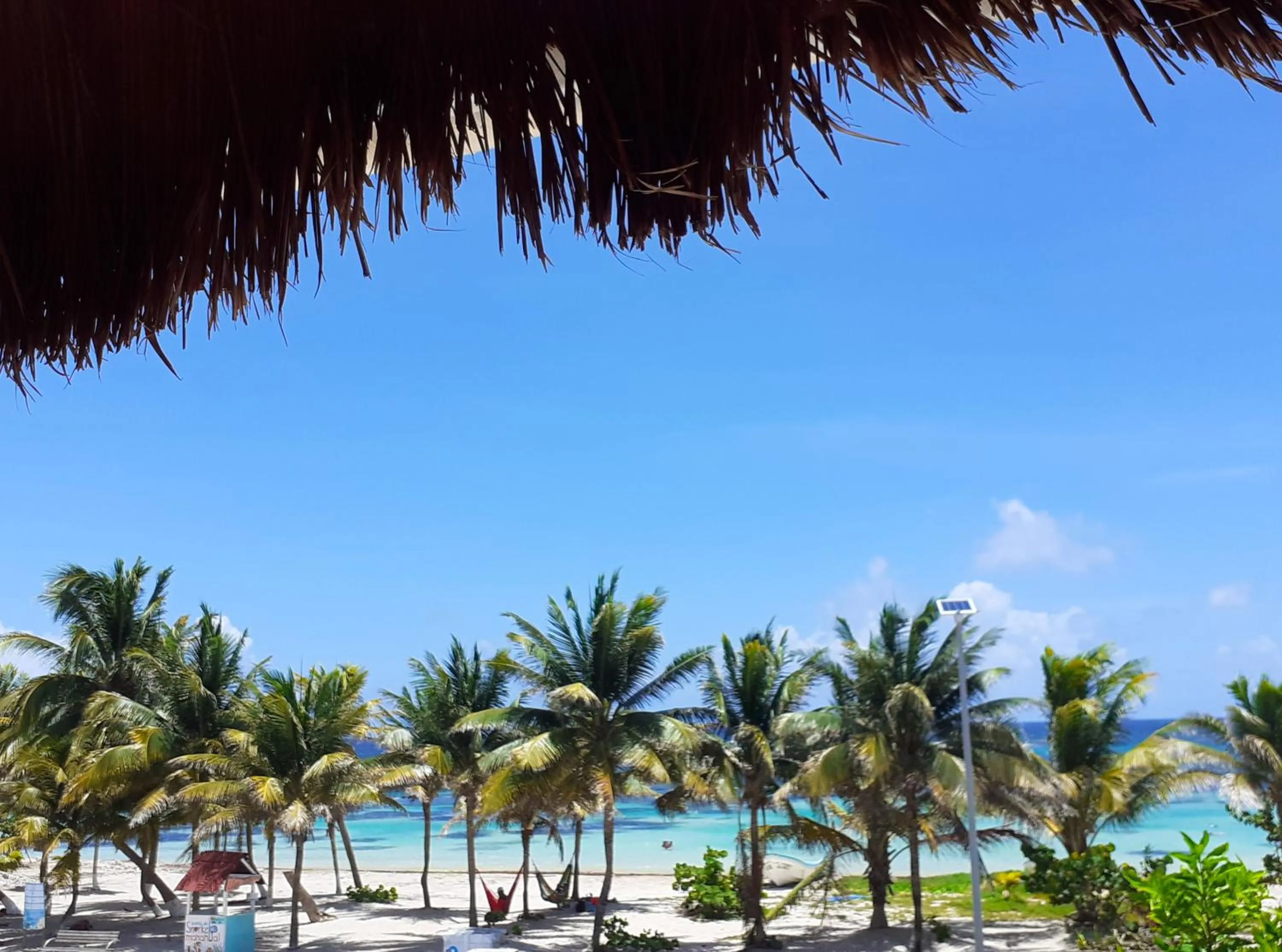 Natural landscape in Palmeras de Mahahual Cabañas