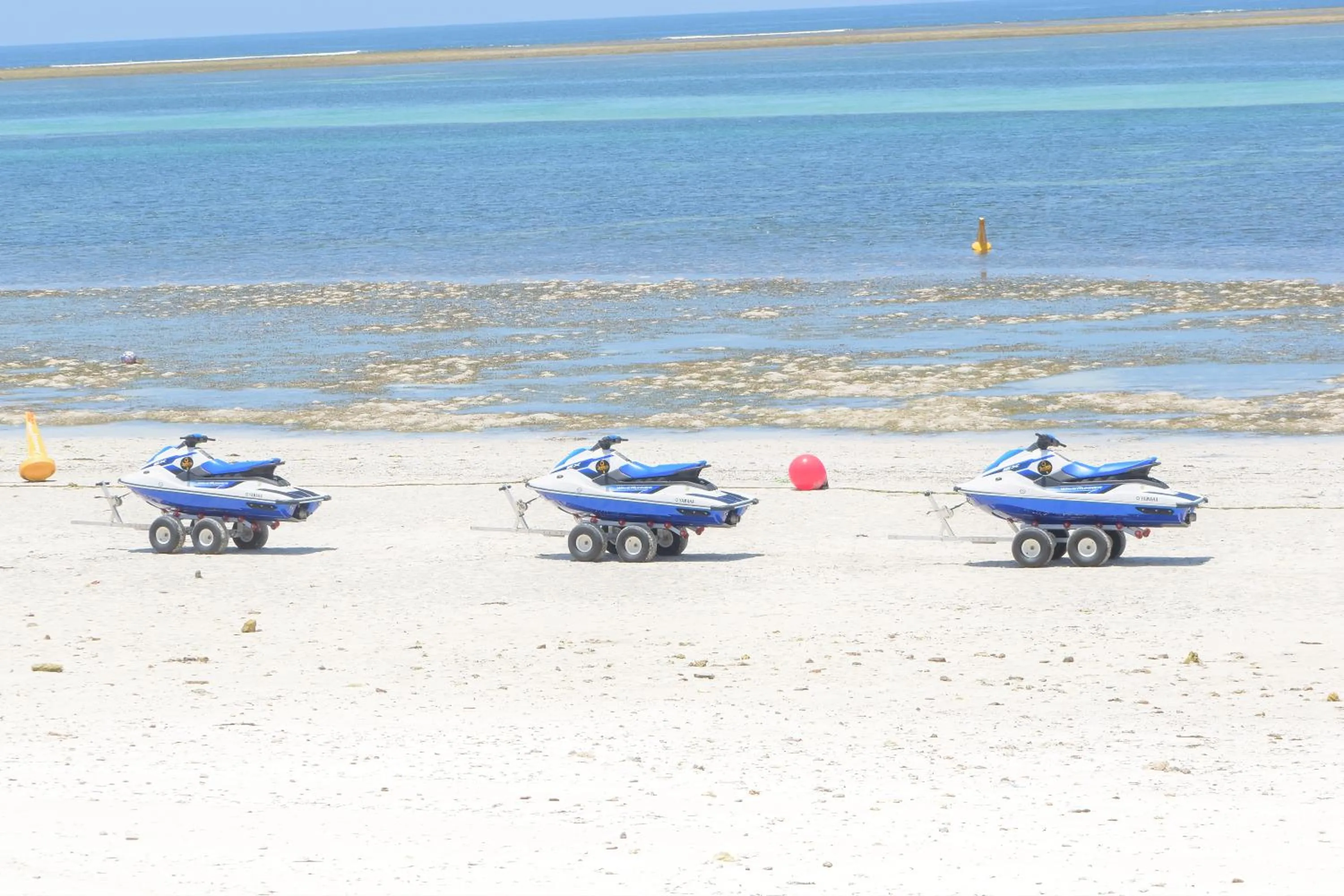 Snorkeling in Jumeirah Beachfront
