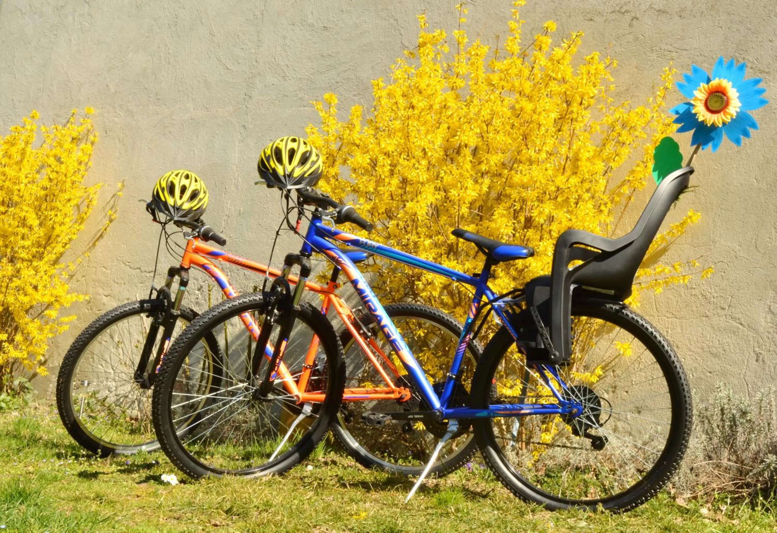 Cycling in Bed & Tours Dimora di campagna