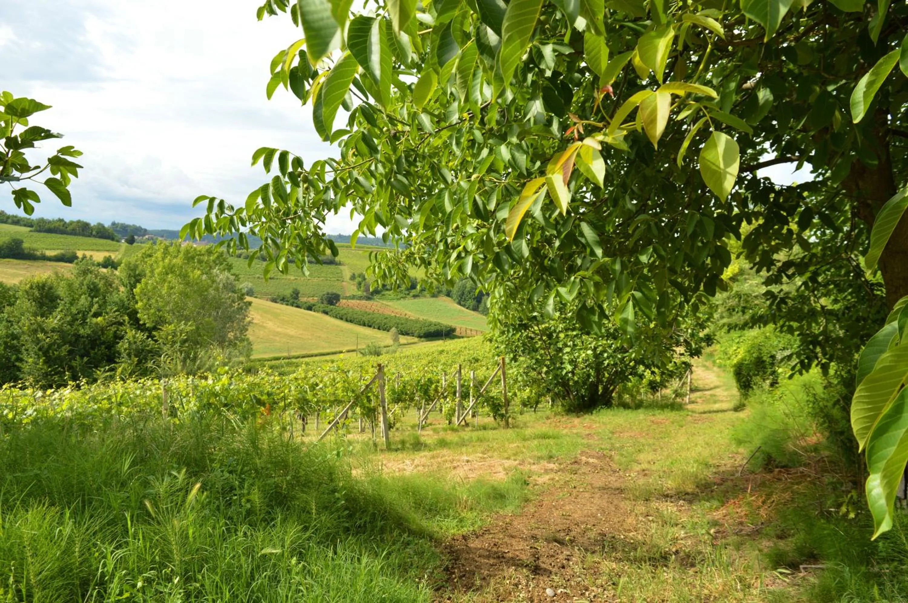 Hiking in Bed & Tours Dimora di campagna