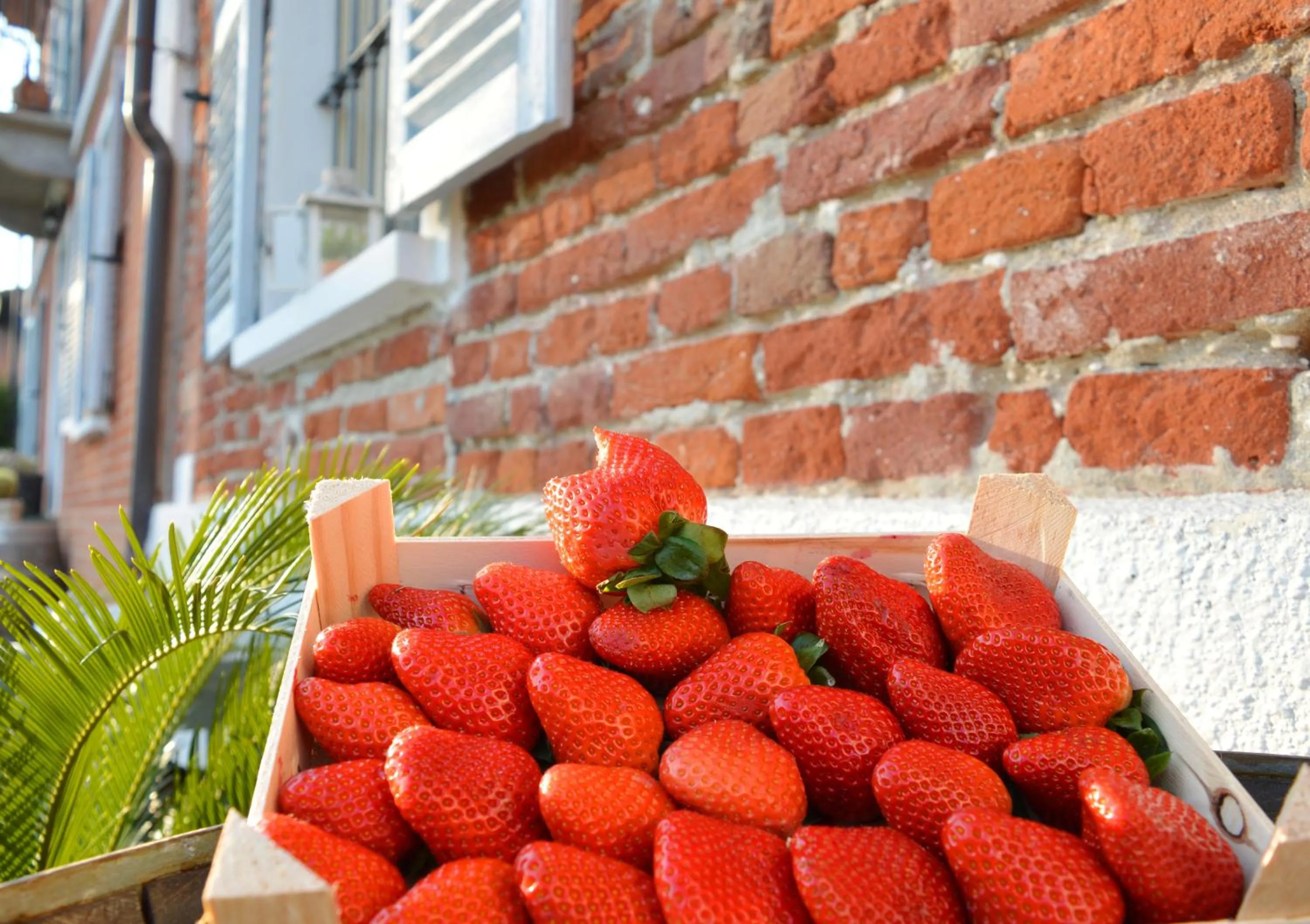 Food in Bed & Tours Dimora di campagna