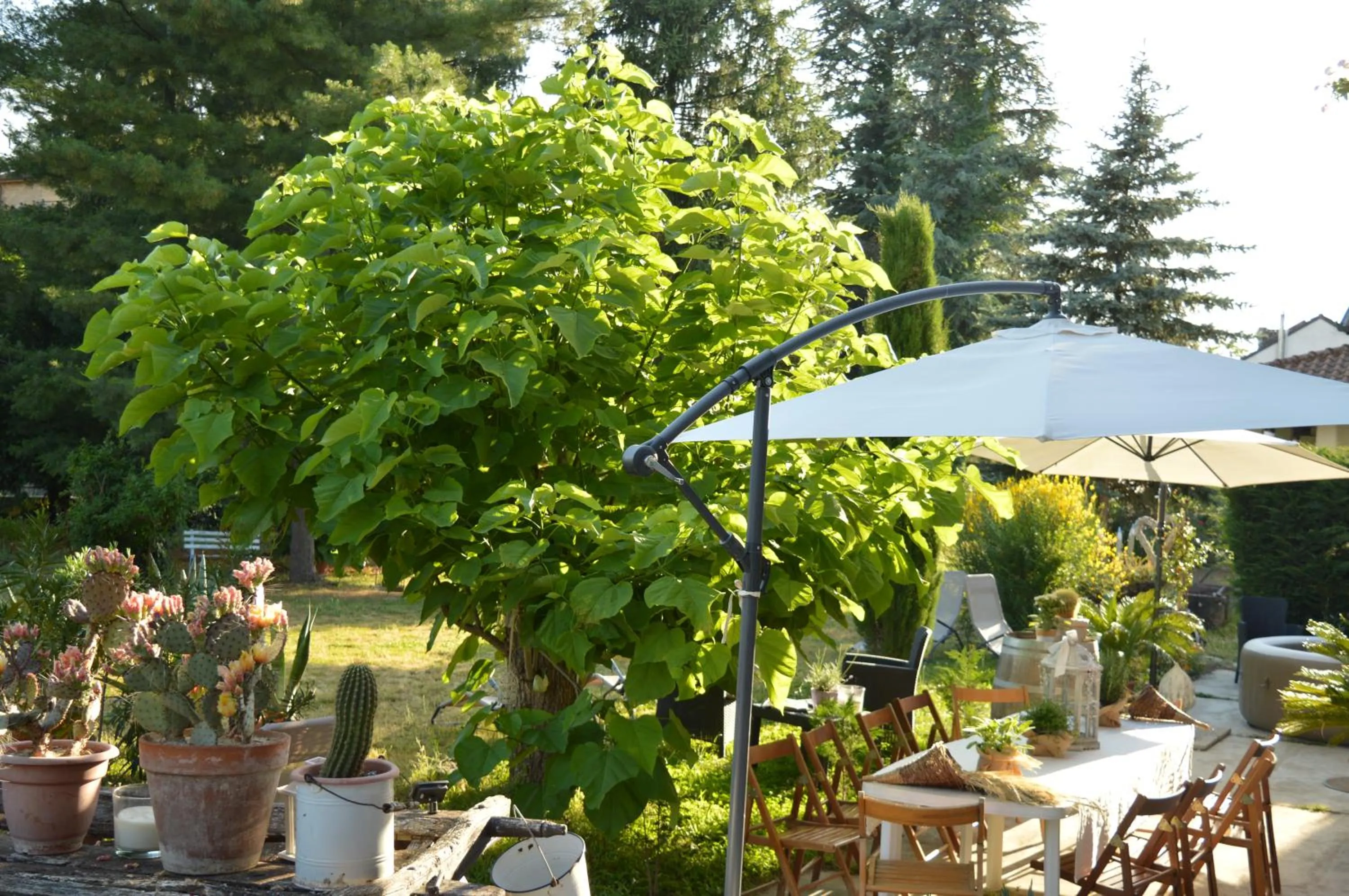 Garden in Bed & Tours Dimora di campagna