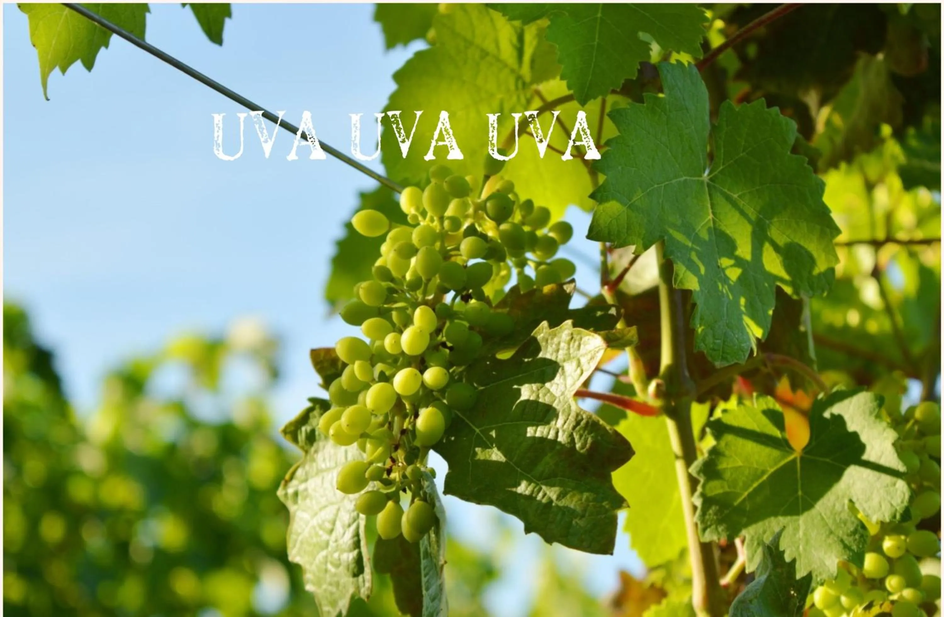 Natural landscape in Bed & Tours Dimora di campagna