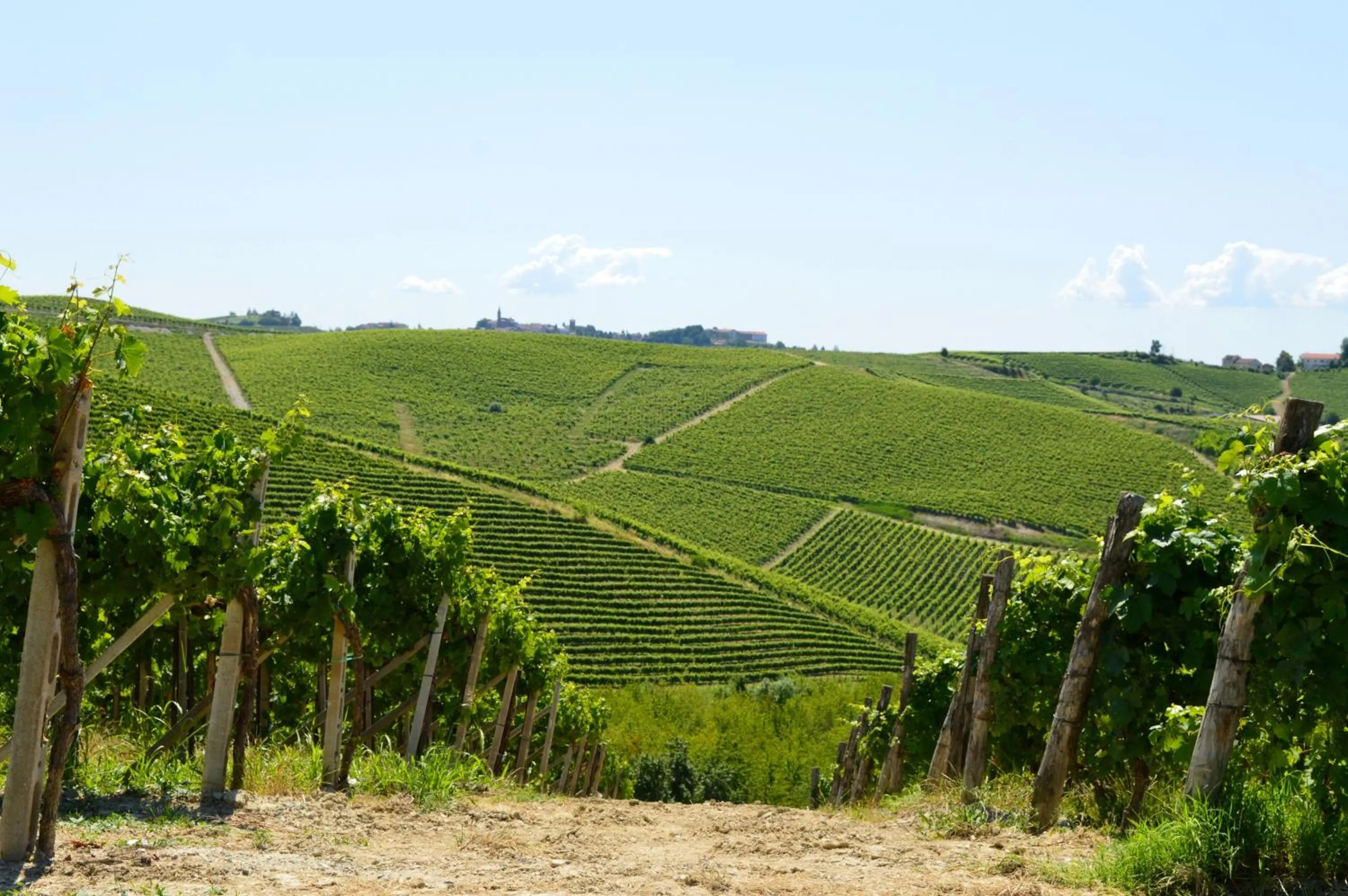 Natural landscape in Bed & Tours Dimora di campagna