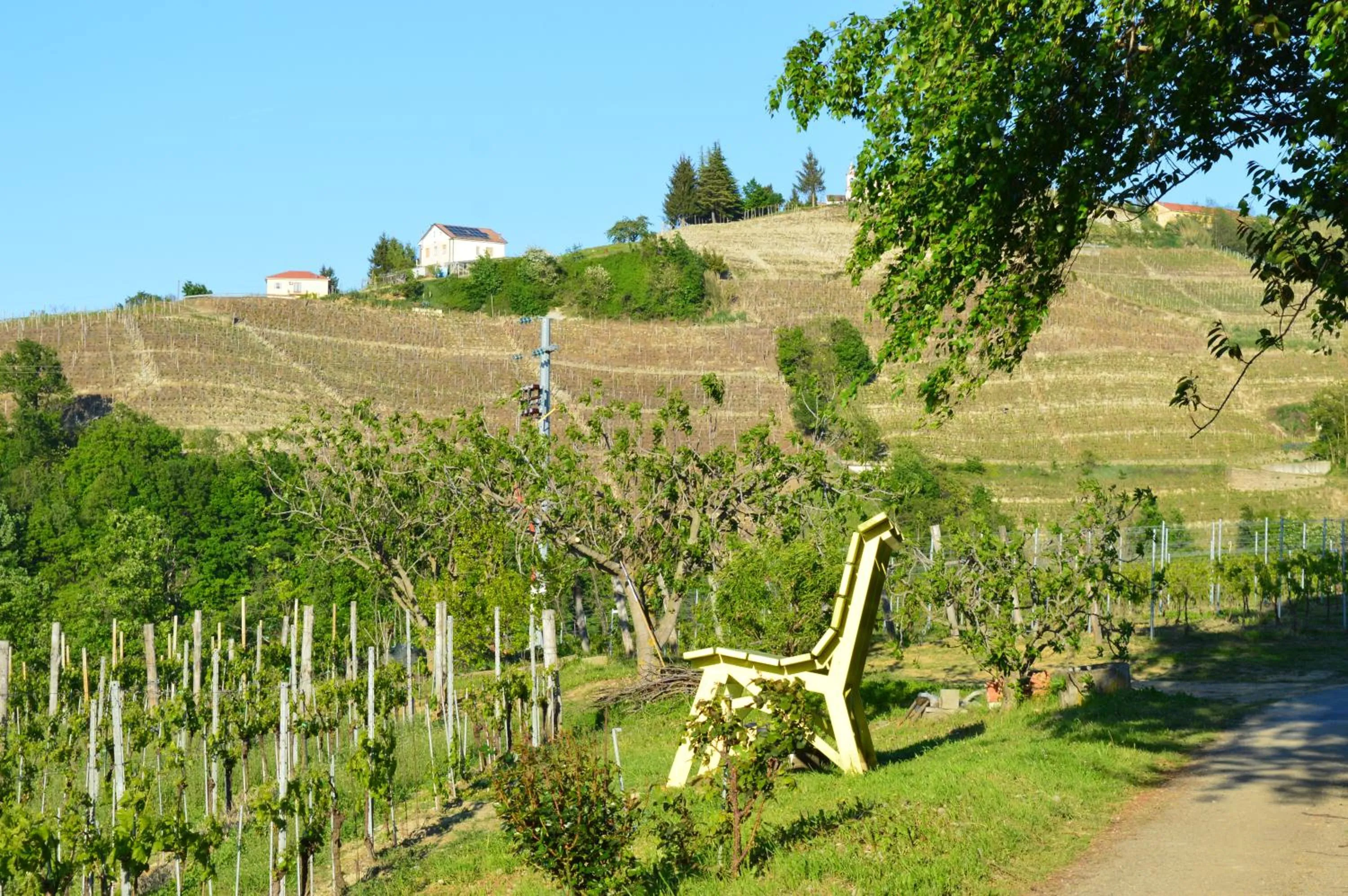 Natural landscape in Bed & Tours Dimora di campagna