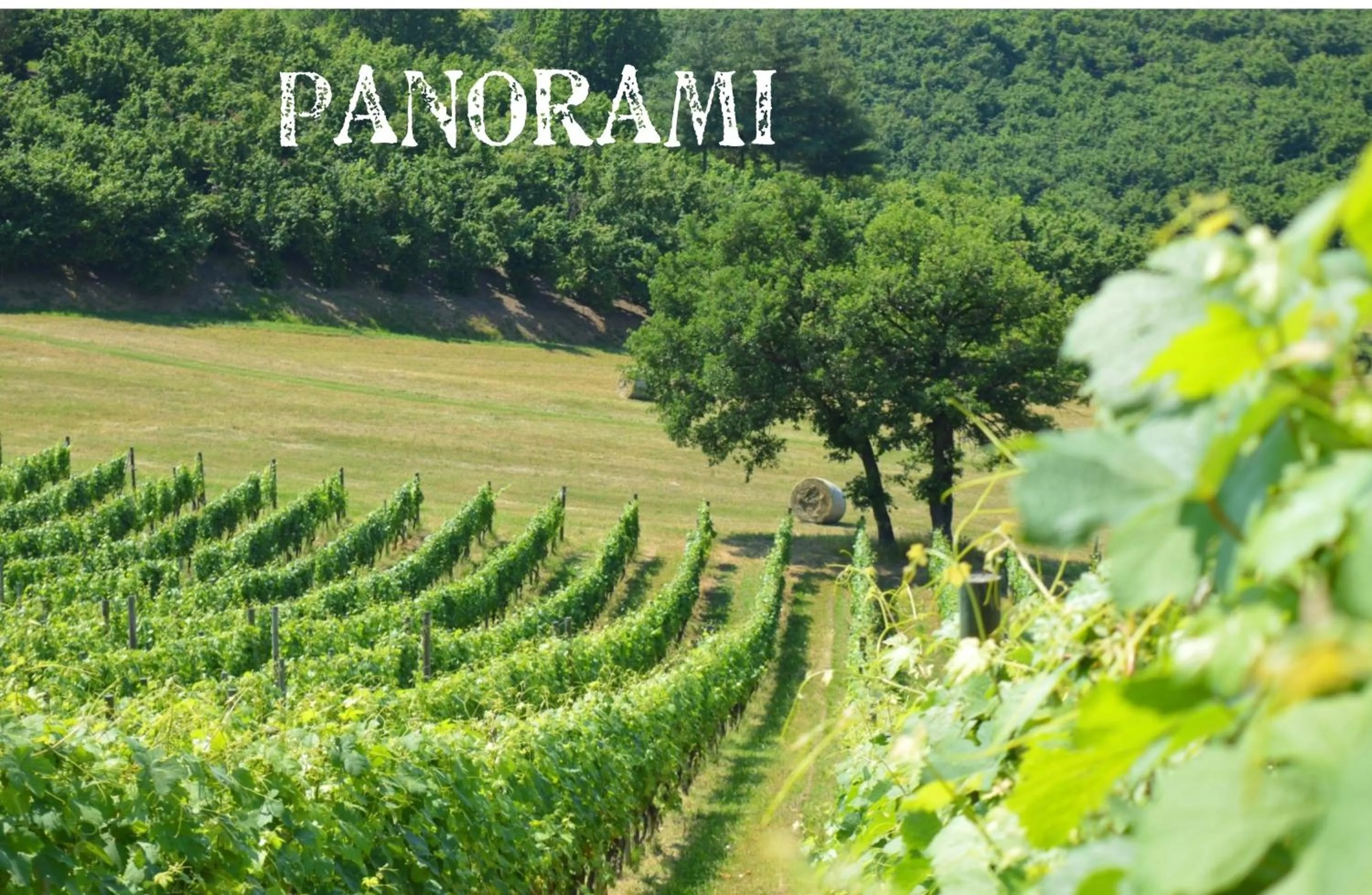 Hiking in Bed & Tours Dimora di campagna