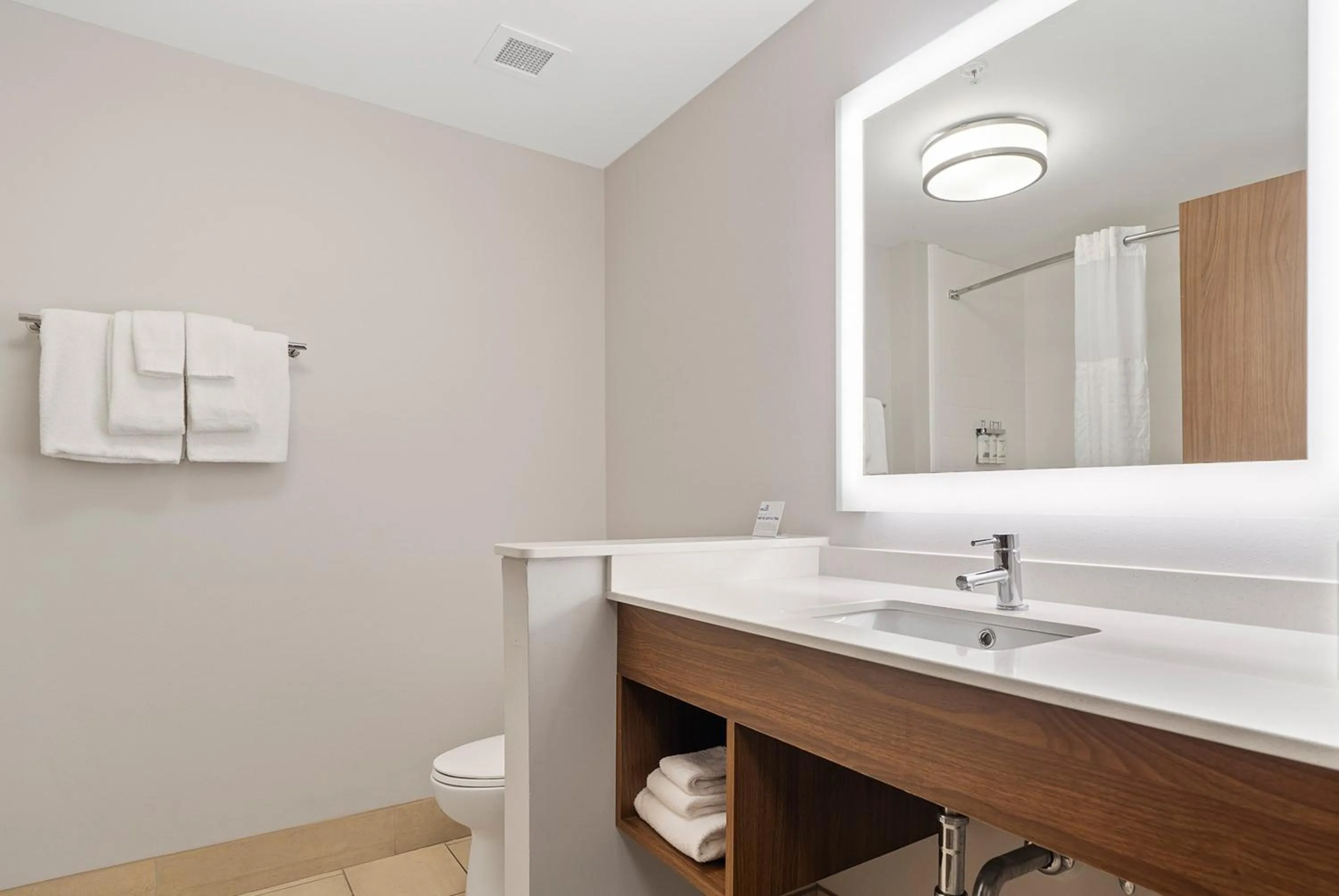 Bathroom in Holiday Inn Express & Suites Macon North by IHG