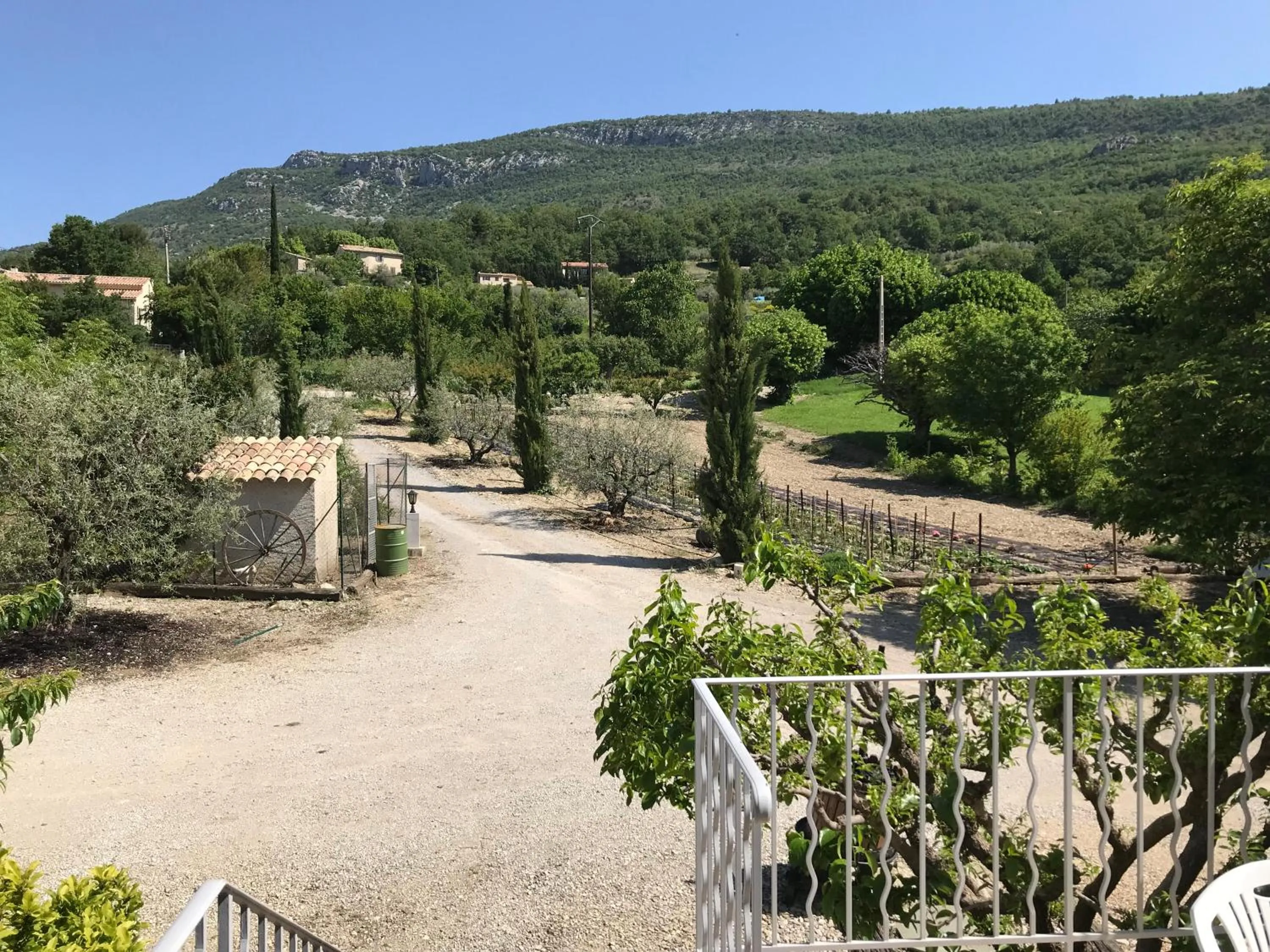 Garden view in Chambre une fenêtre sur le Ventoux la Clue