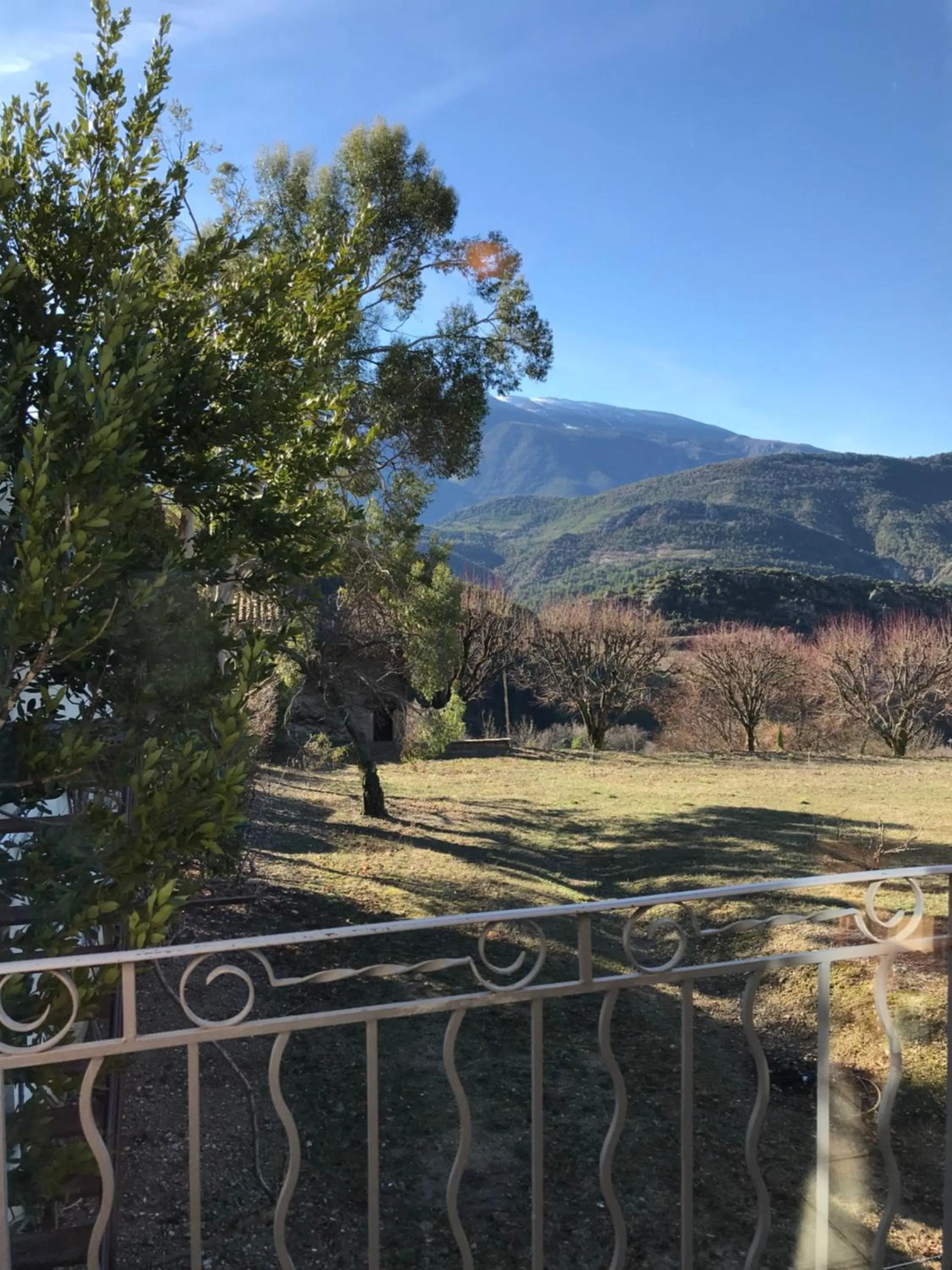 Balcony/Terrace in Chambre une fenêtre sur le Ventoux la Clue