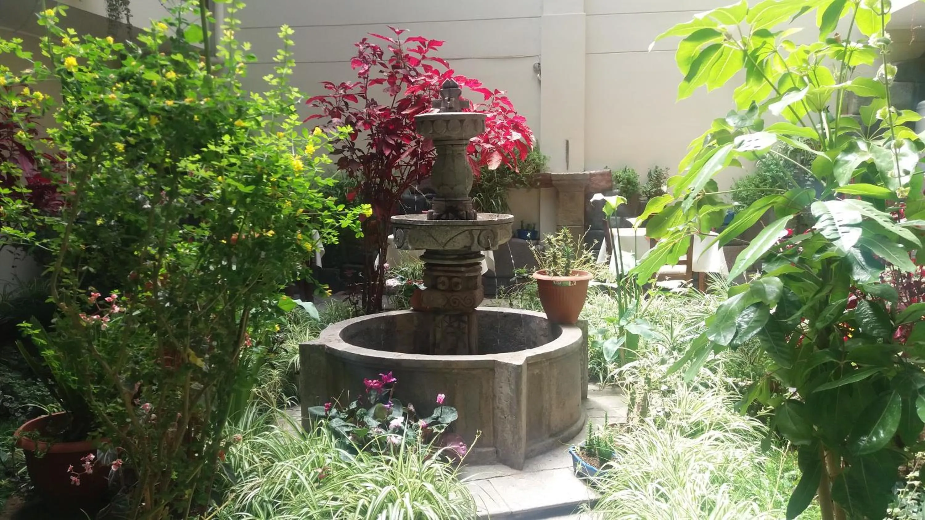 Garden in Antawasi Hotel