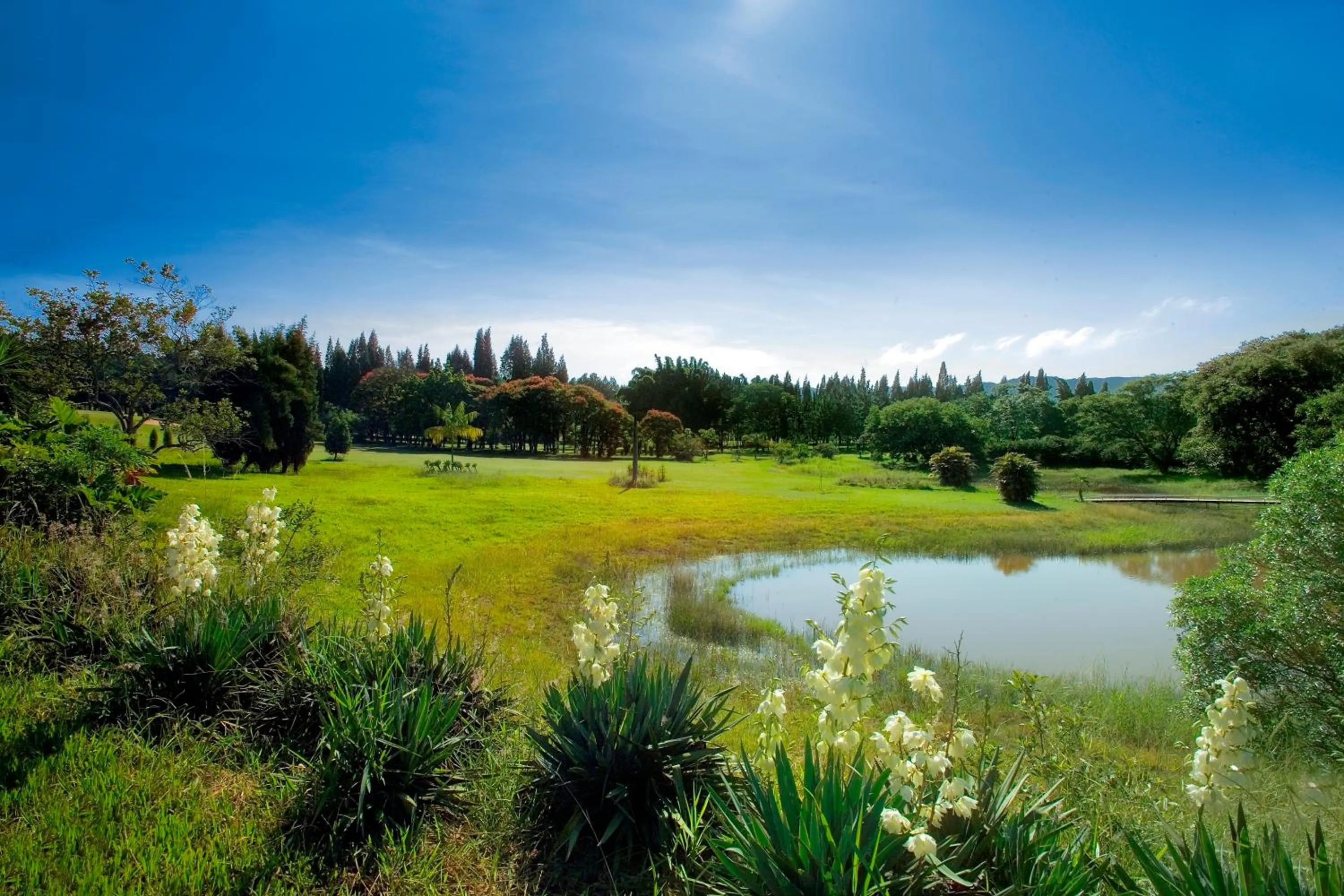 Natural landscape in Garden Hill Hotel e Golfe