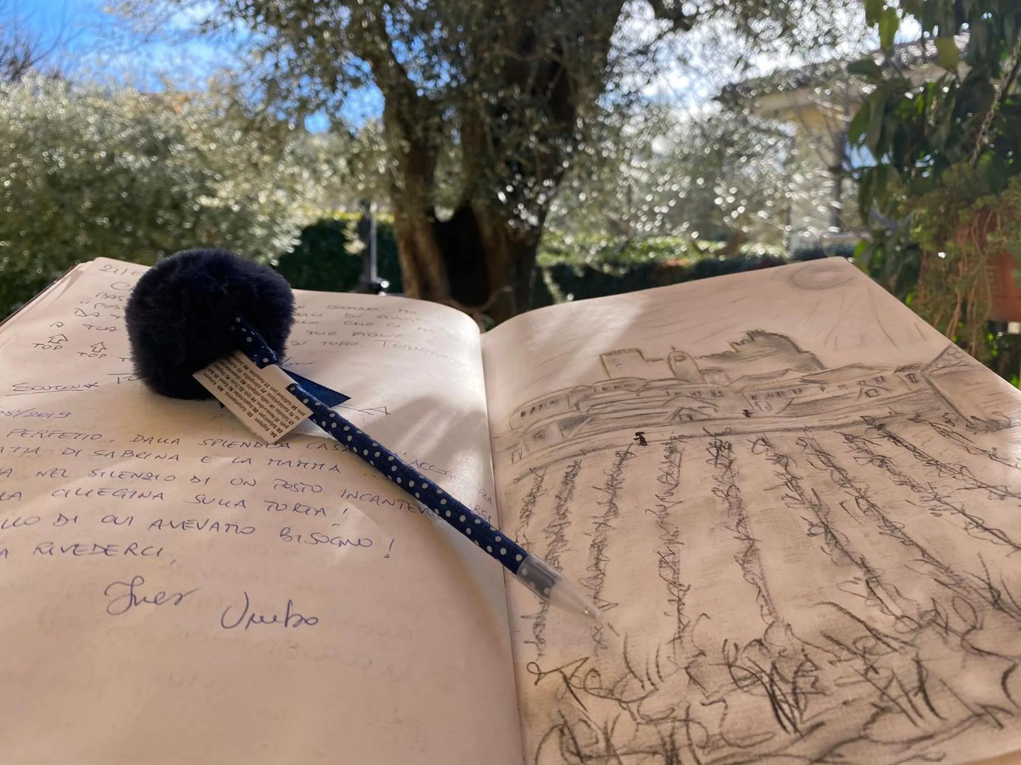 Bird's eye view in L' Ulivo Bed & Breakfast