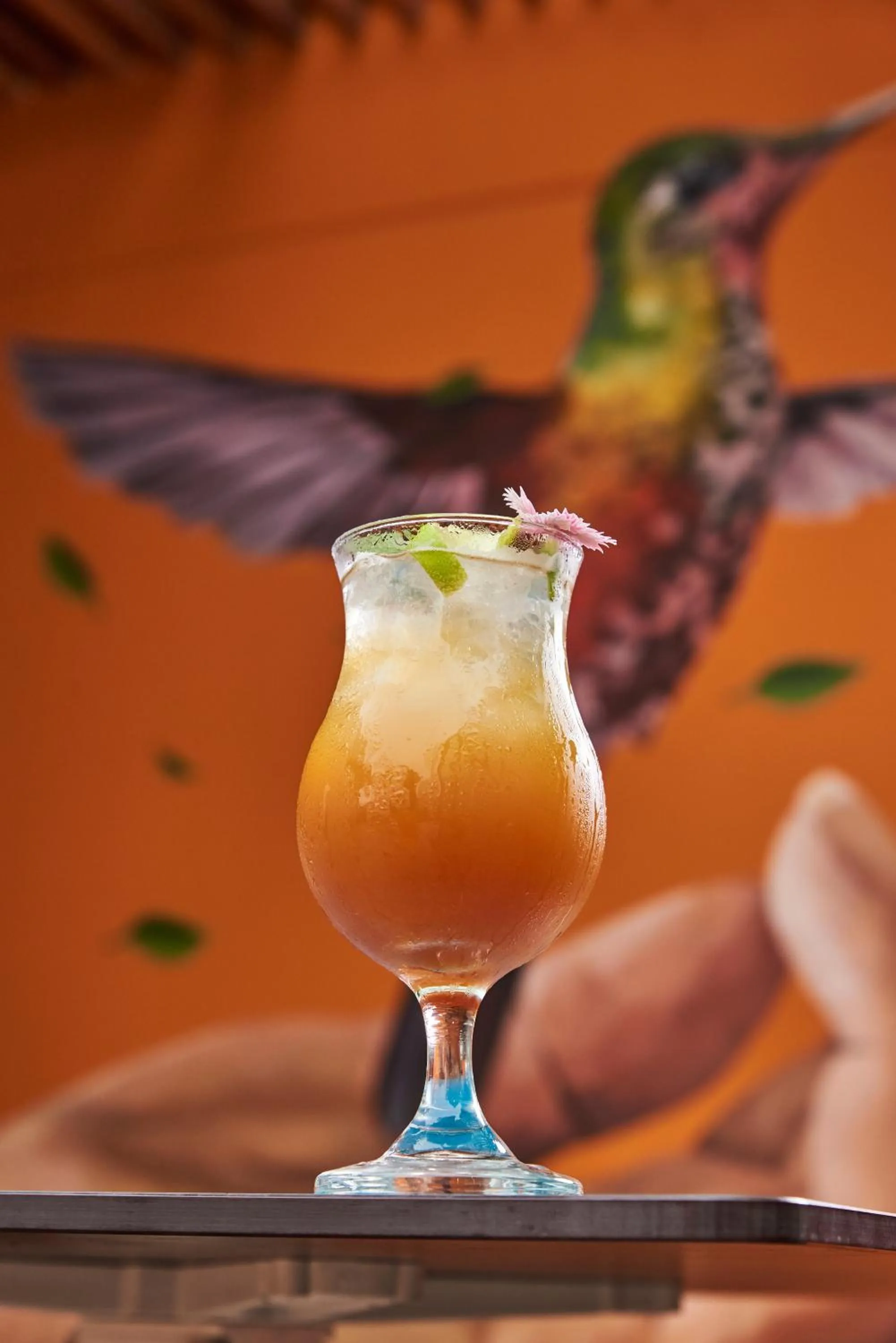 Drinks in Libre Hotel, BW Signature Collection by Best Western