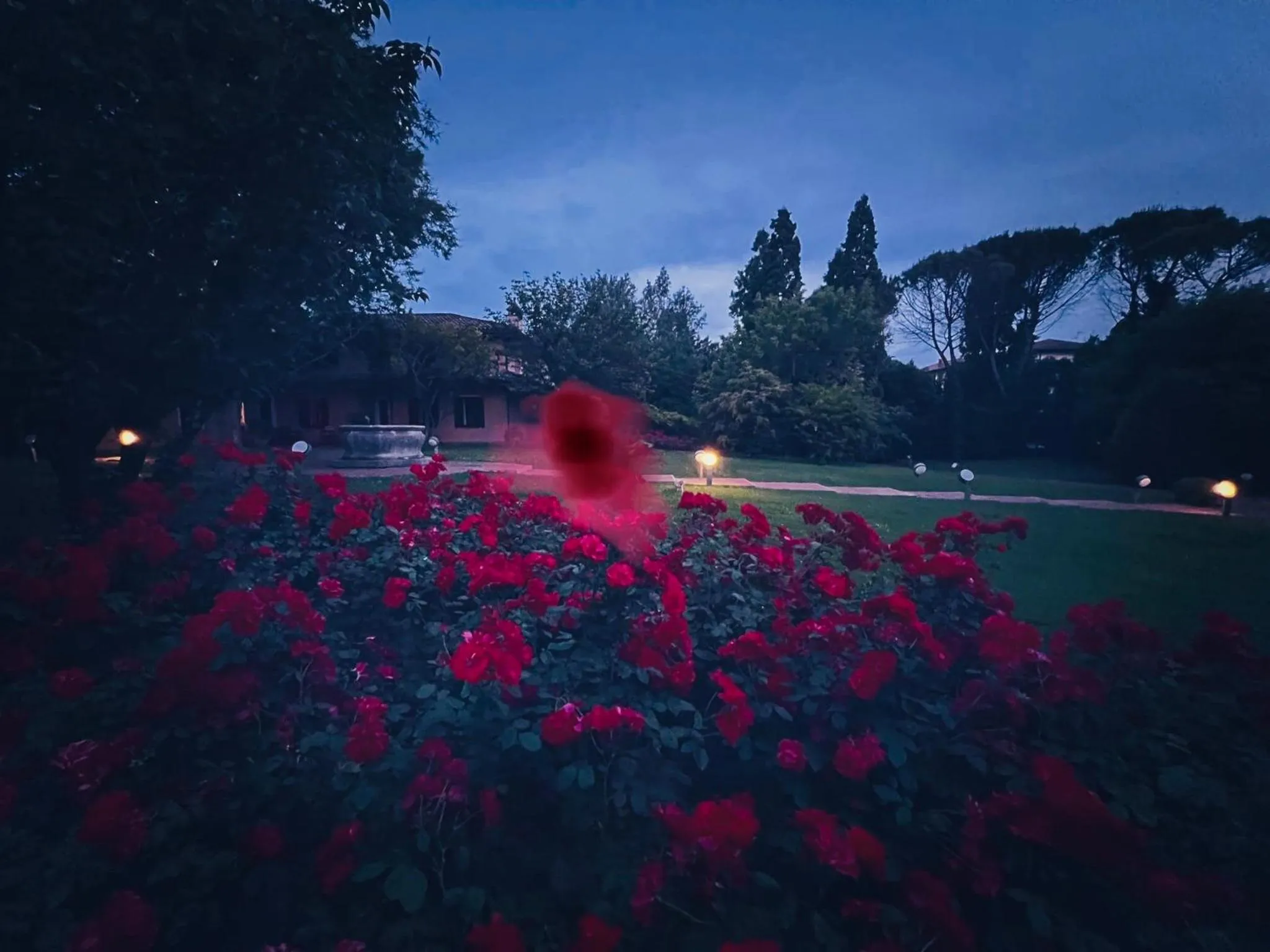 Night in Opera Deluxe