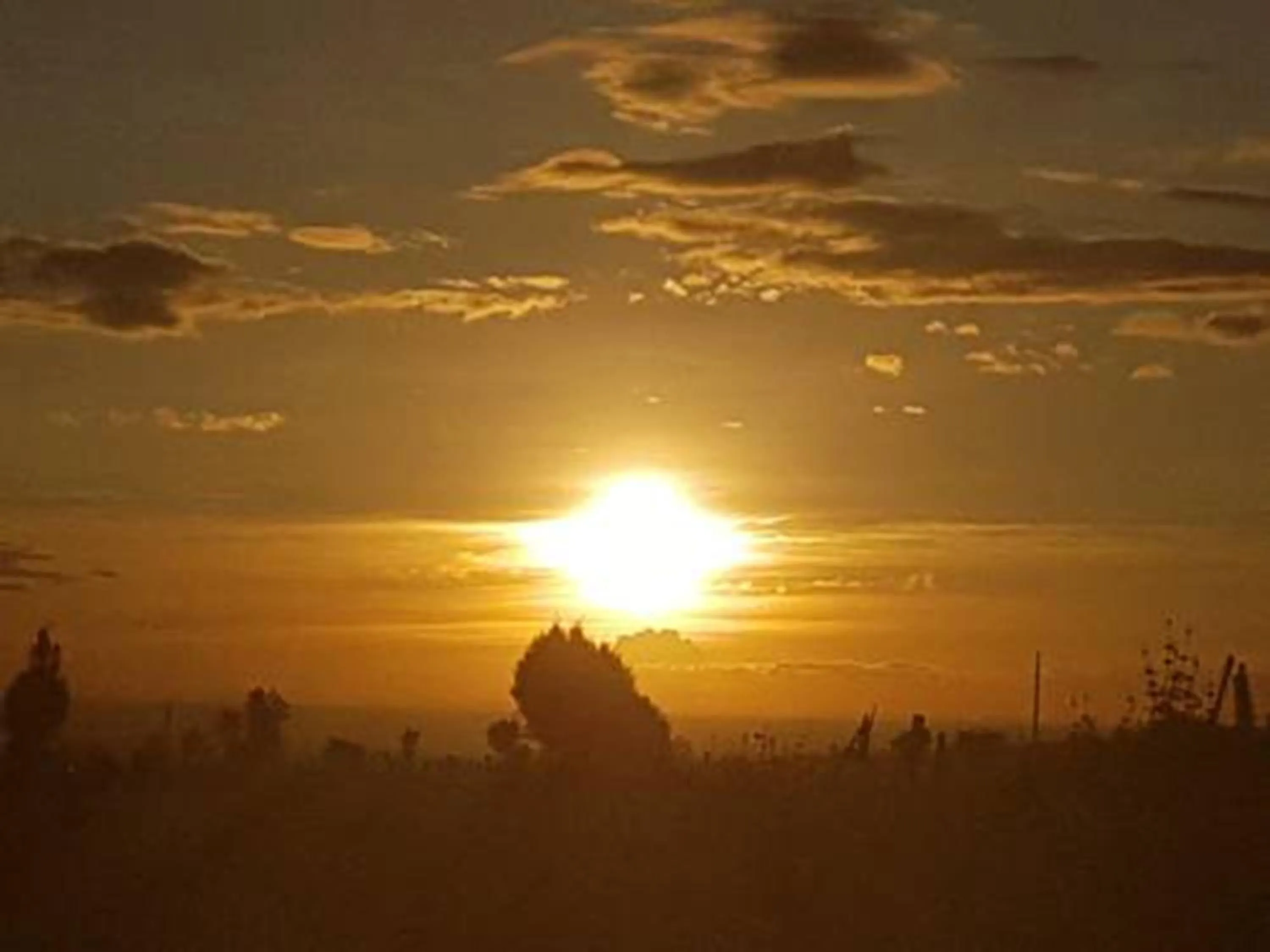 Natural landscape in The Great Circle Lodge
