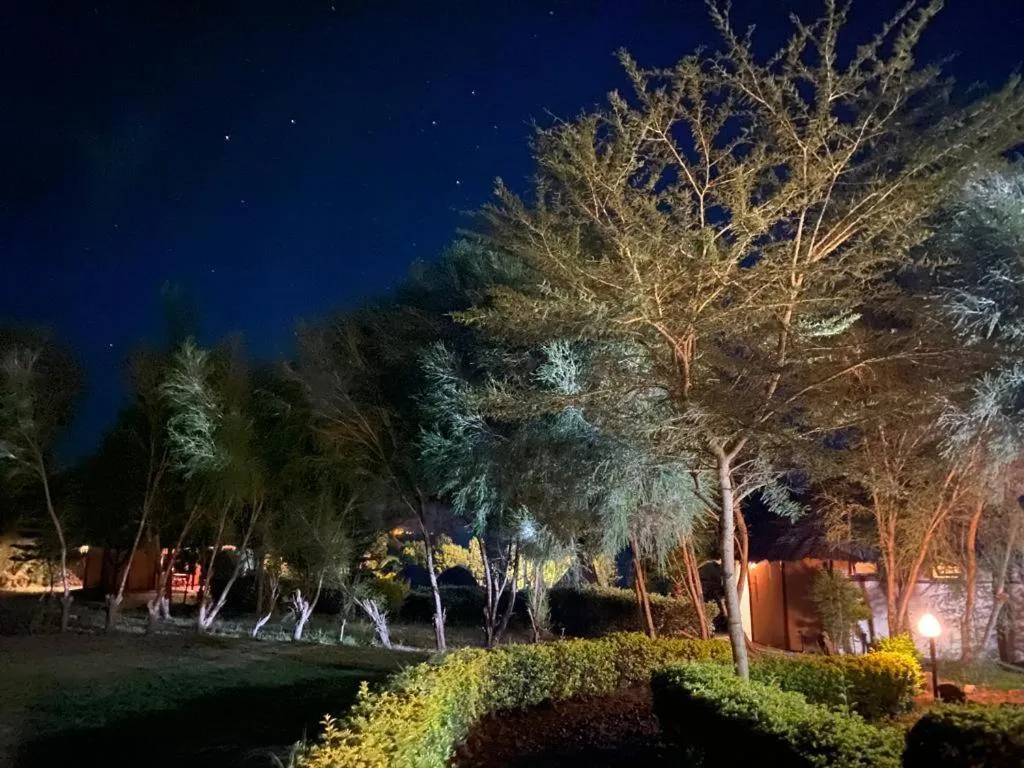 Garden in The Great Circle Lodge