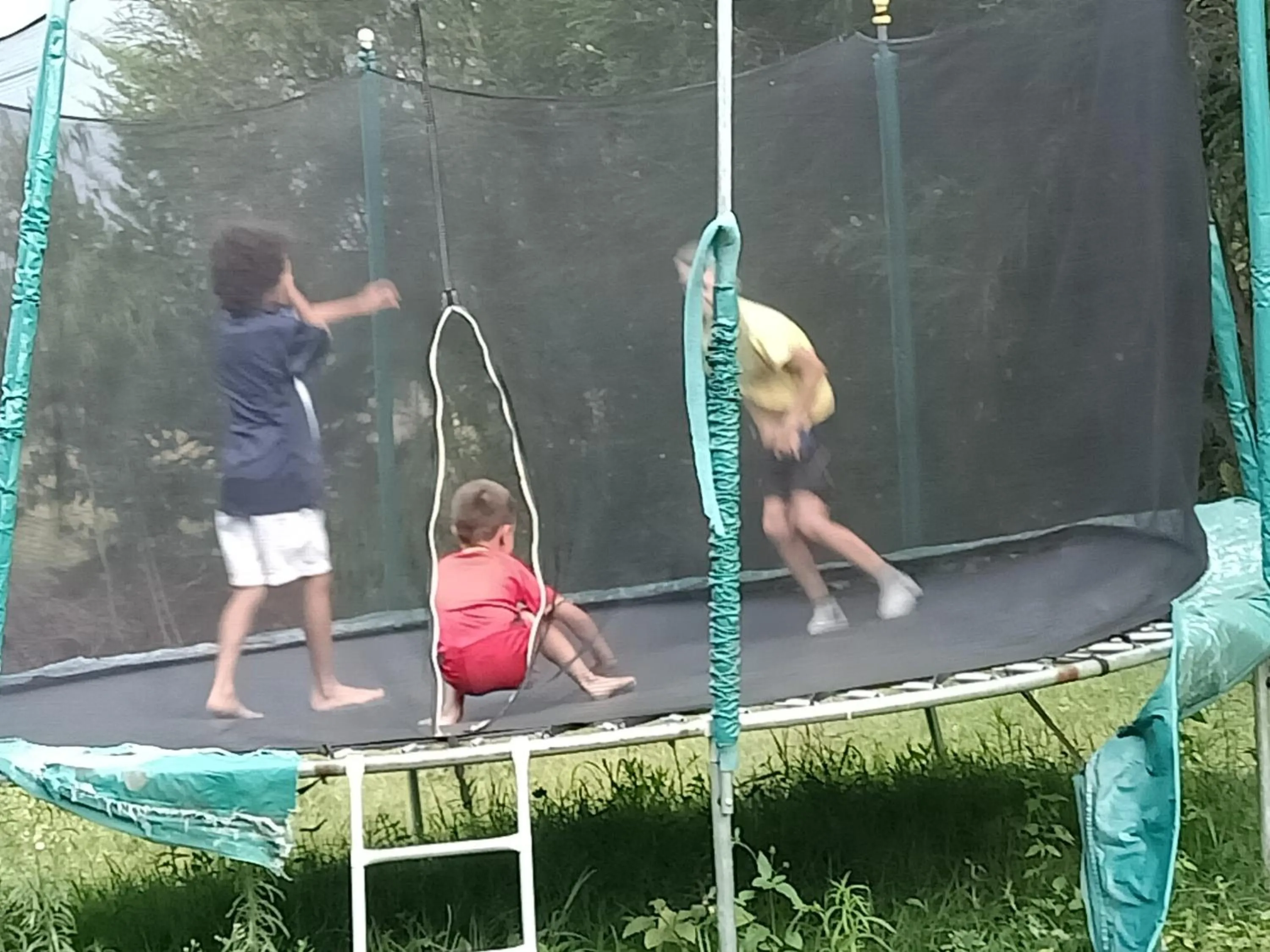 Natural landscape in The Great Circle Lodge