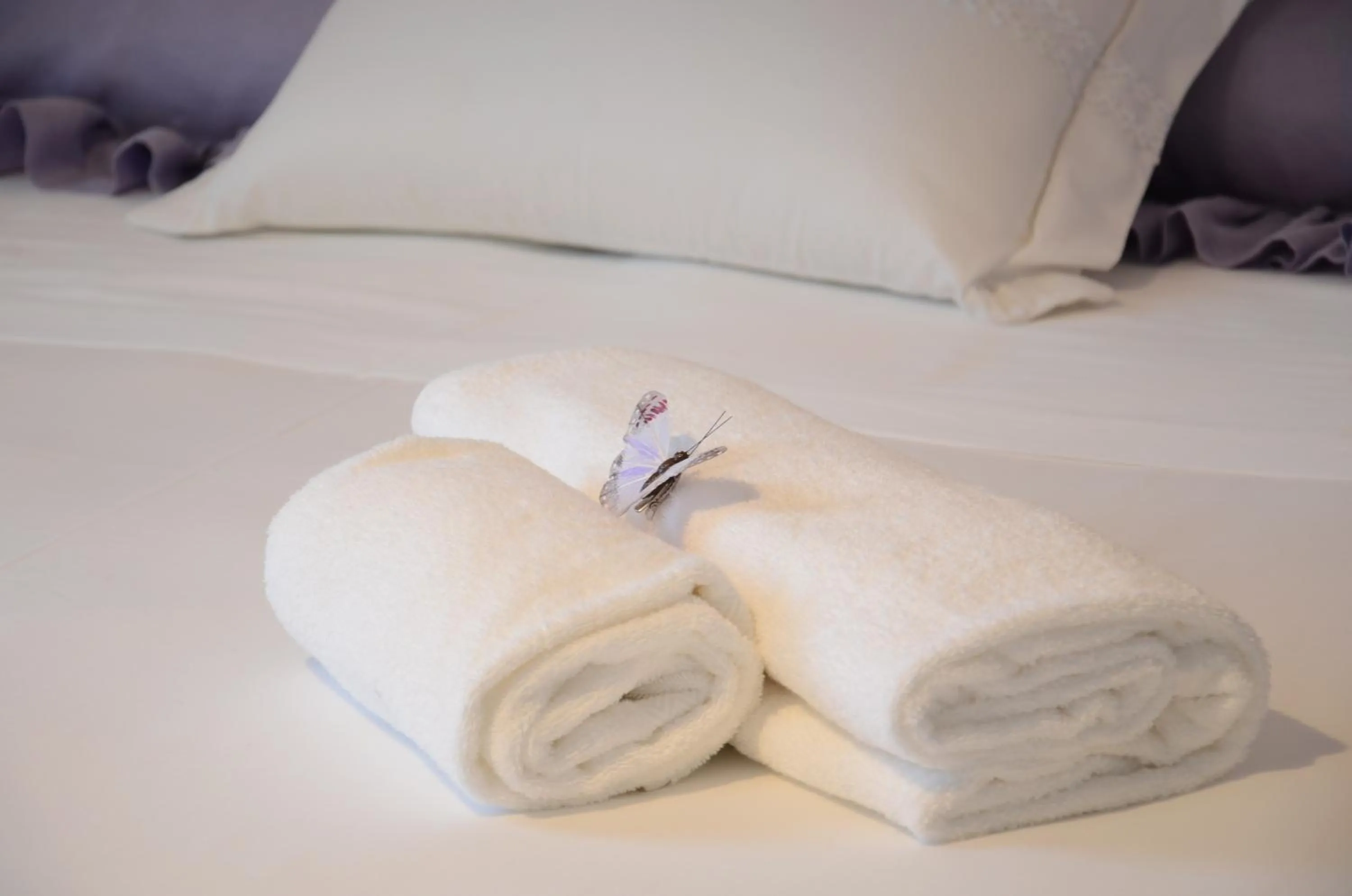 Bed in Villa Montenero