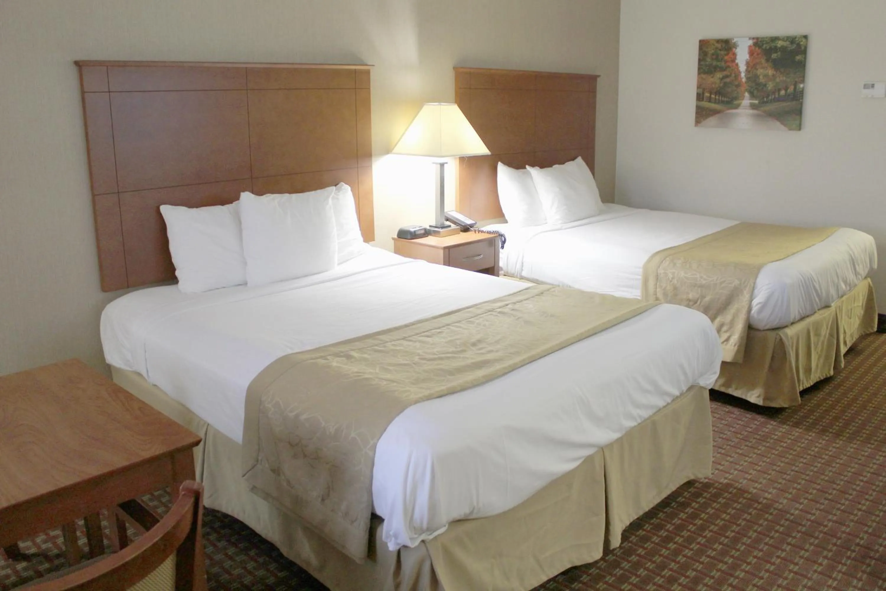 Bed in Baymont by Wyndham Franklin