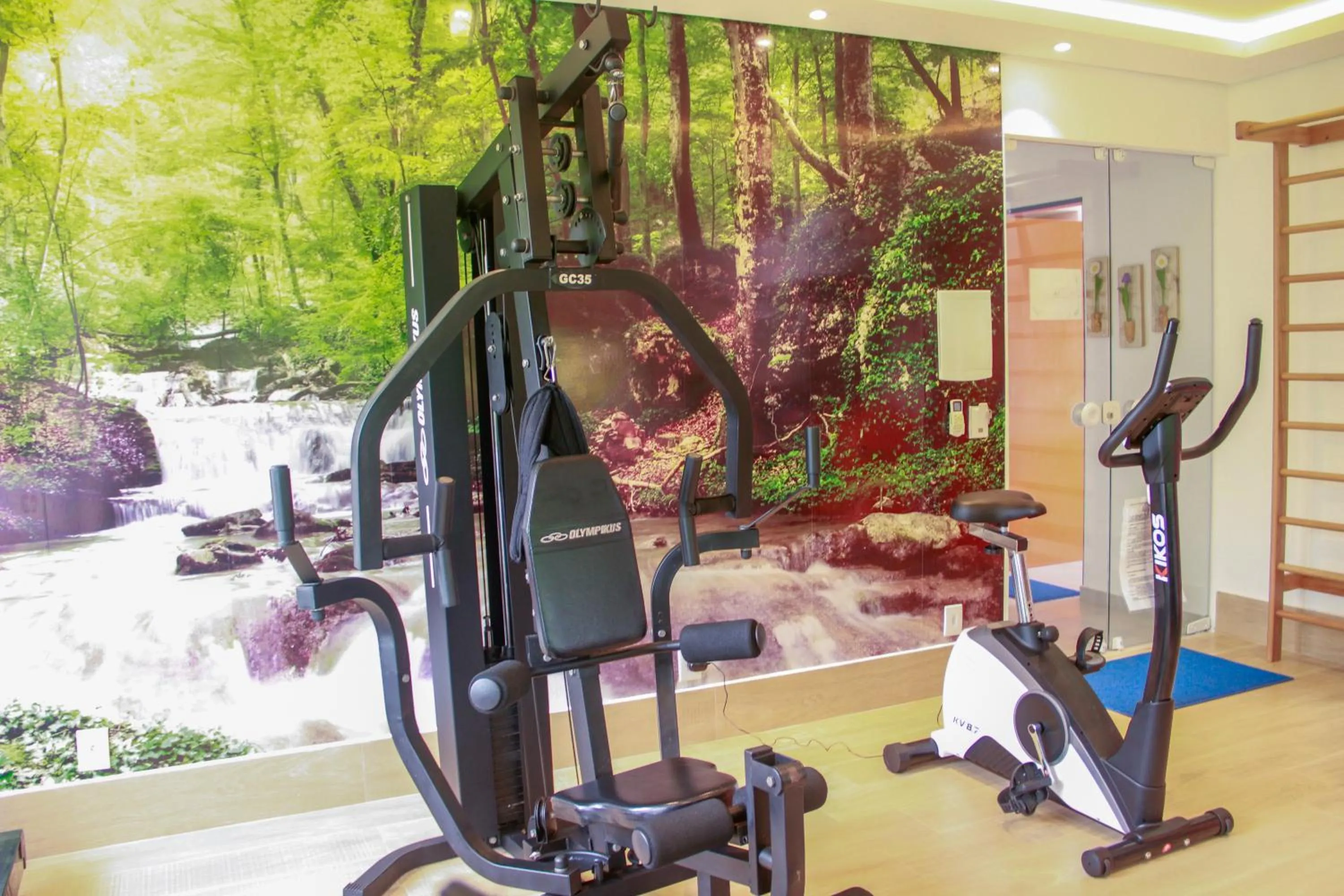 Fitness centre/facilities in Kaliman Pousada