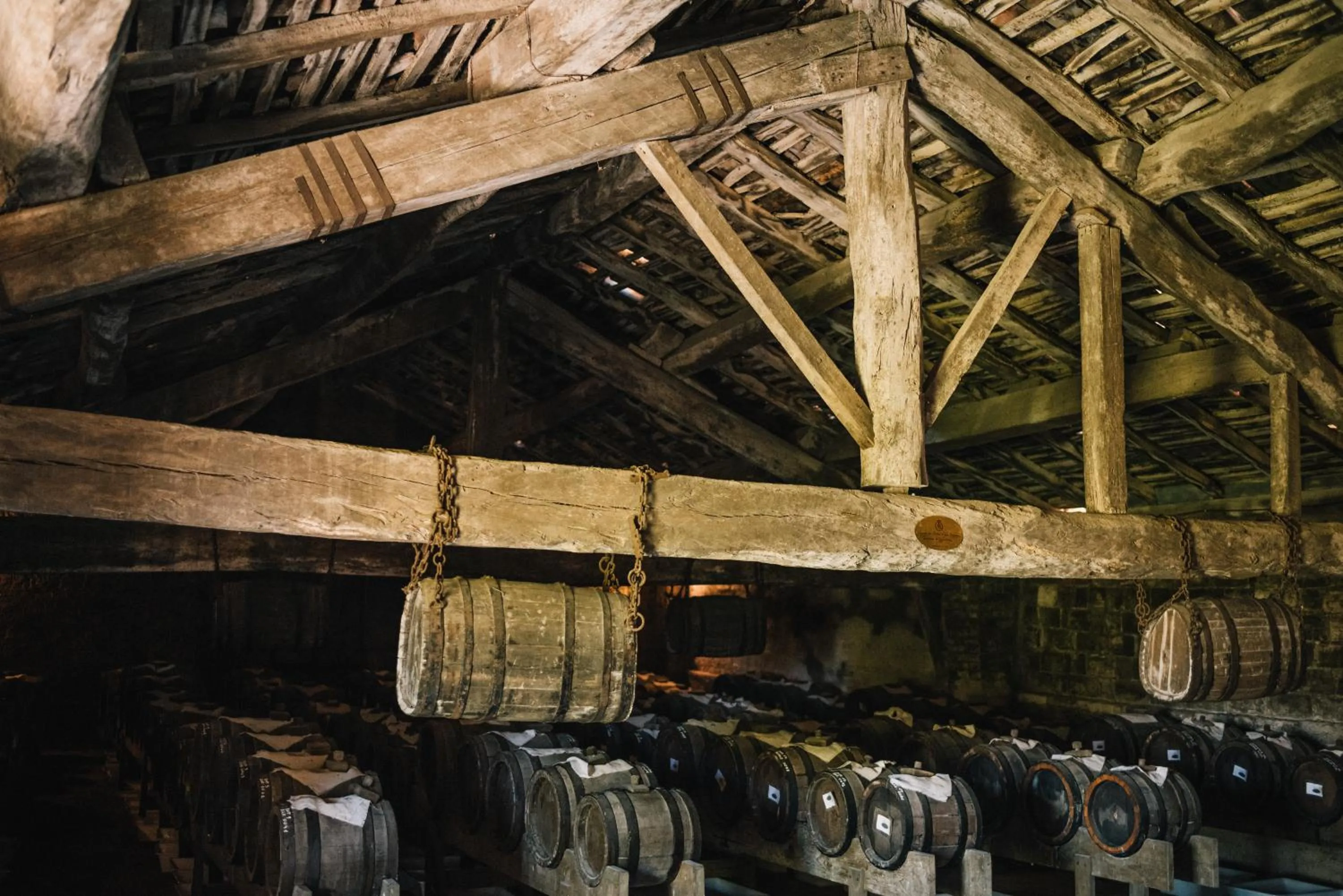 Activities in Relais Roncolo 1888 - Small Luxury Hotels of the World