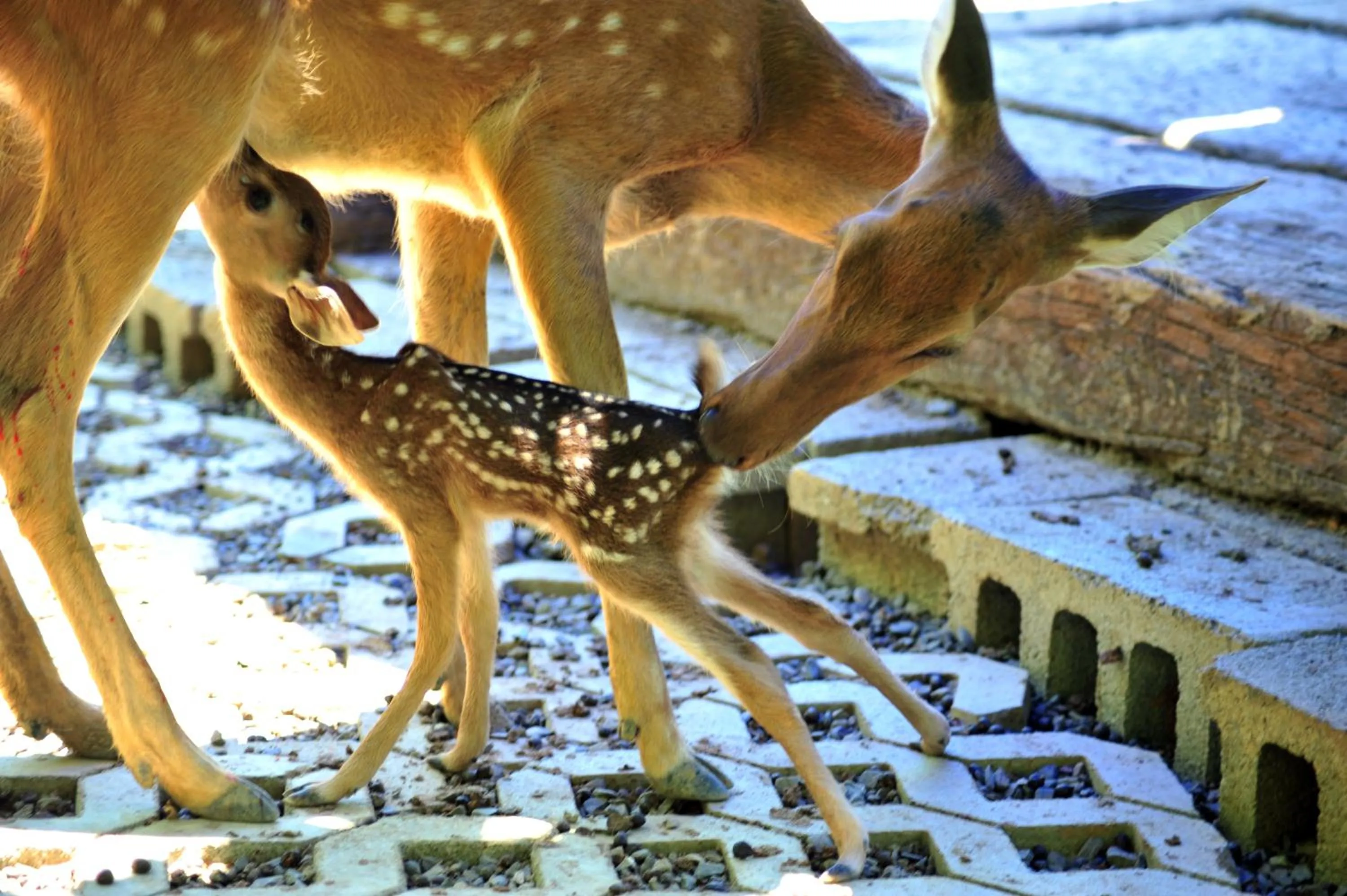Fitness centre/facilities in Howard Beach Resort Kenting