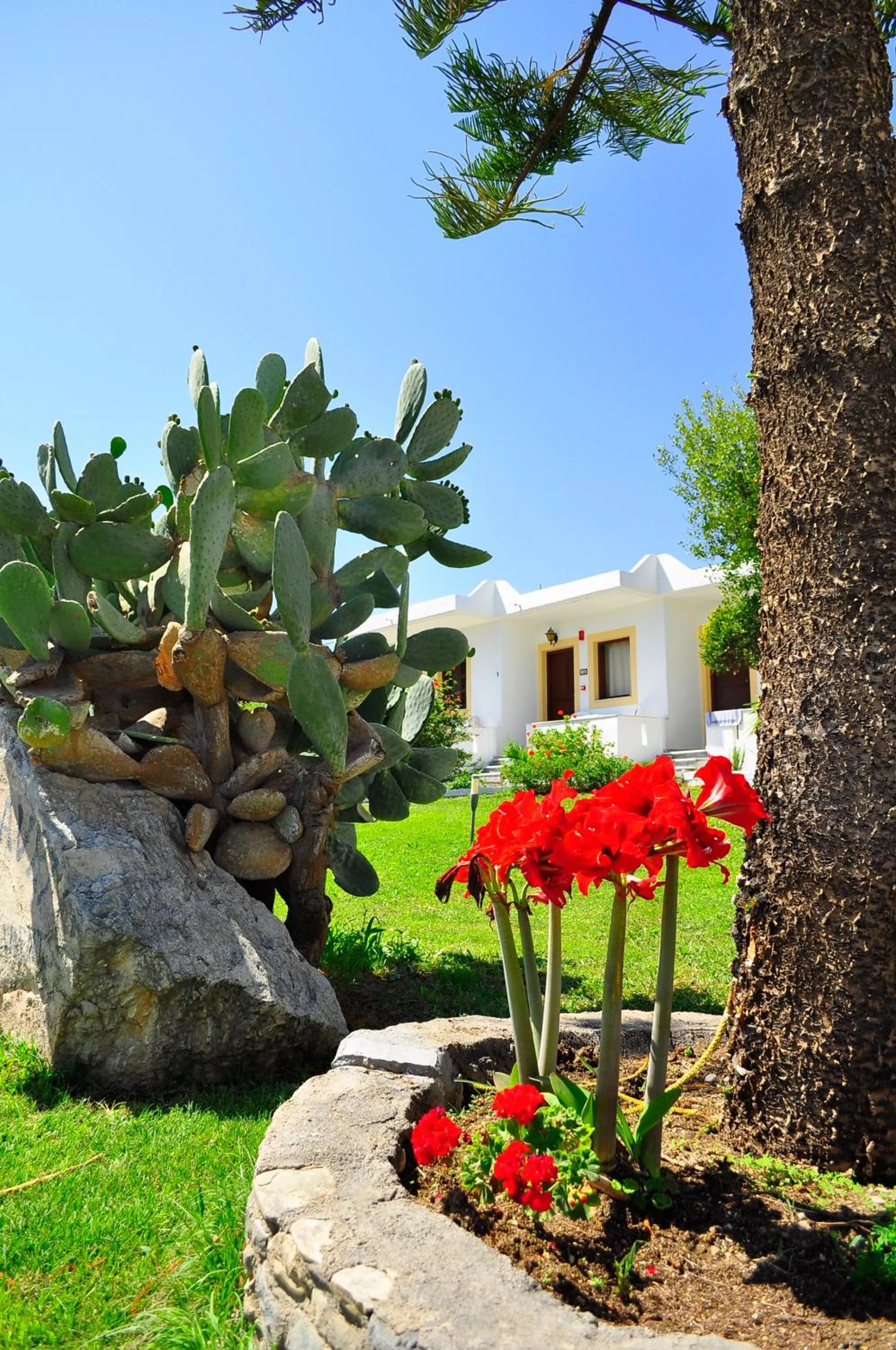 Property building in Ampavris Family Apartments