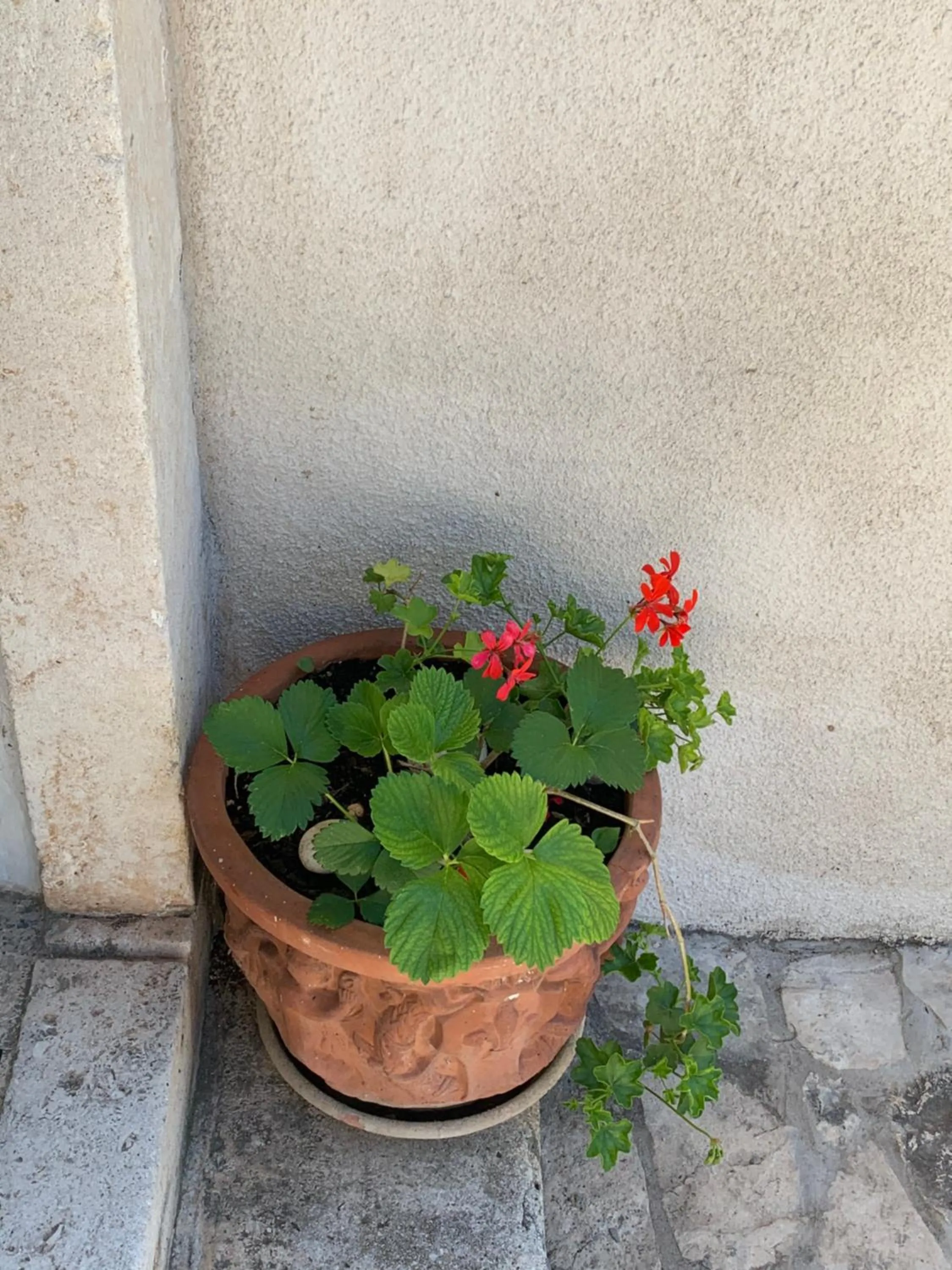 Decorative detail in Guest House Libertas